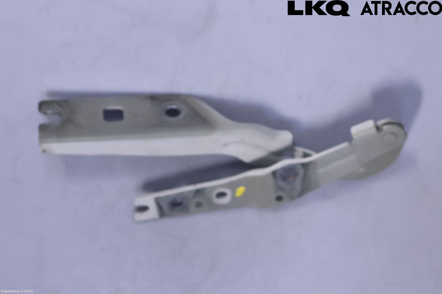 Volkswagen VW GOLF / E-GOLF VII 13-20 Panser Hengsel - Hengsler