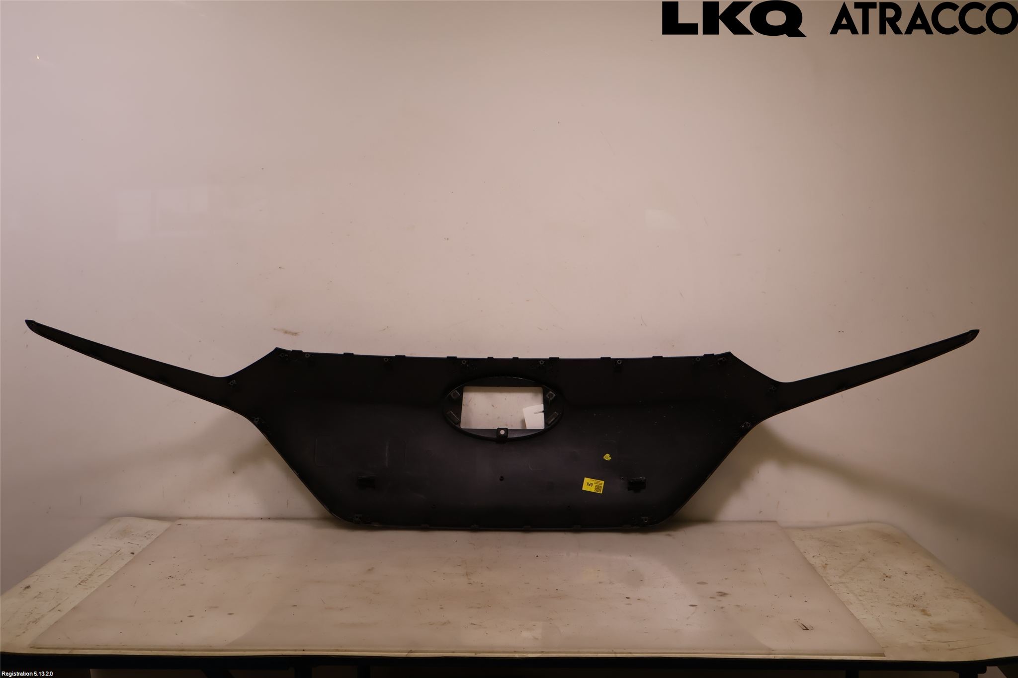 Hyundai IONIQ AE 17-22 Grill Komplett