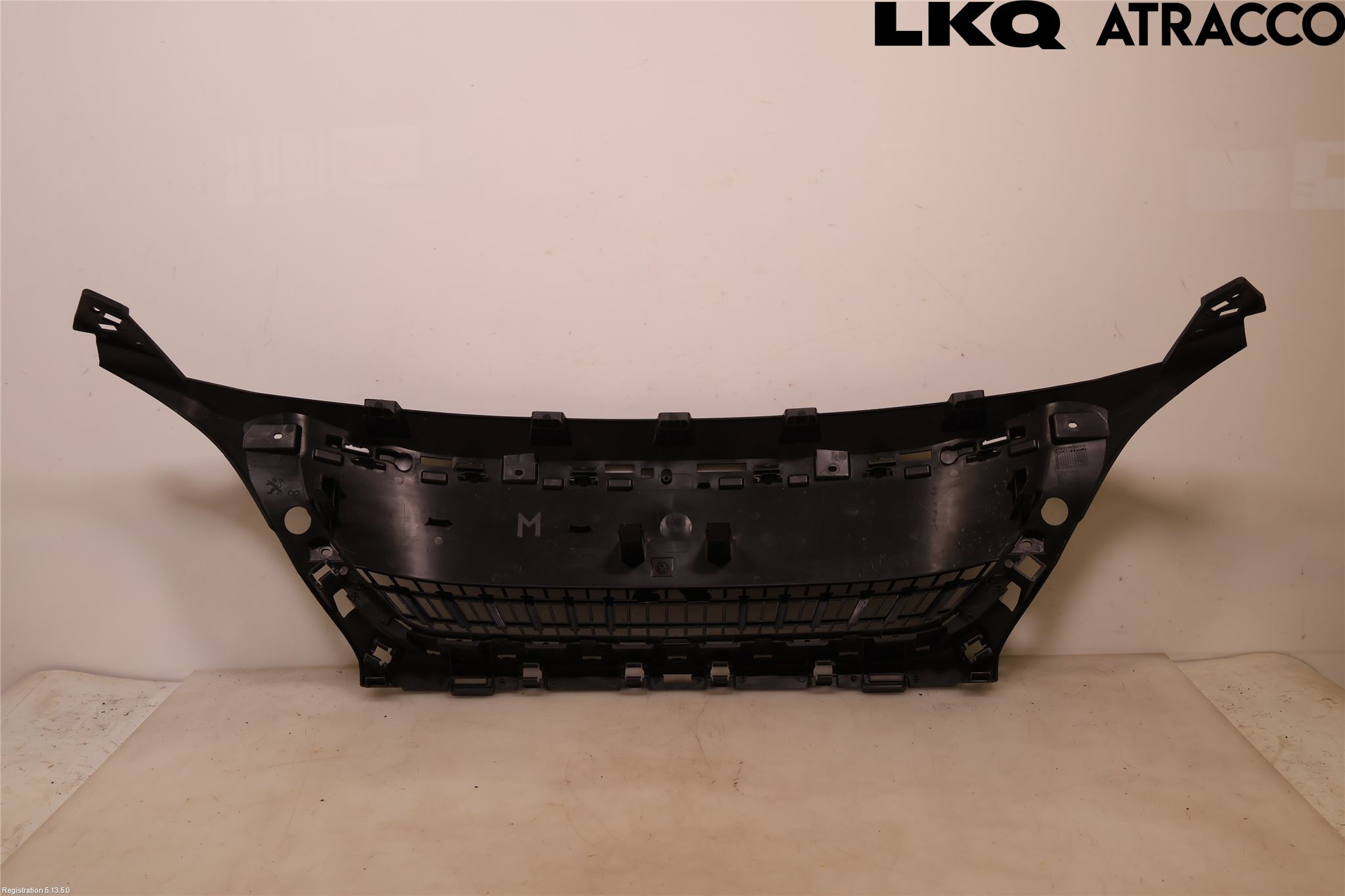 Peugeot 3008 17-24 Grill Komplett