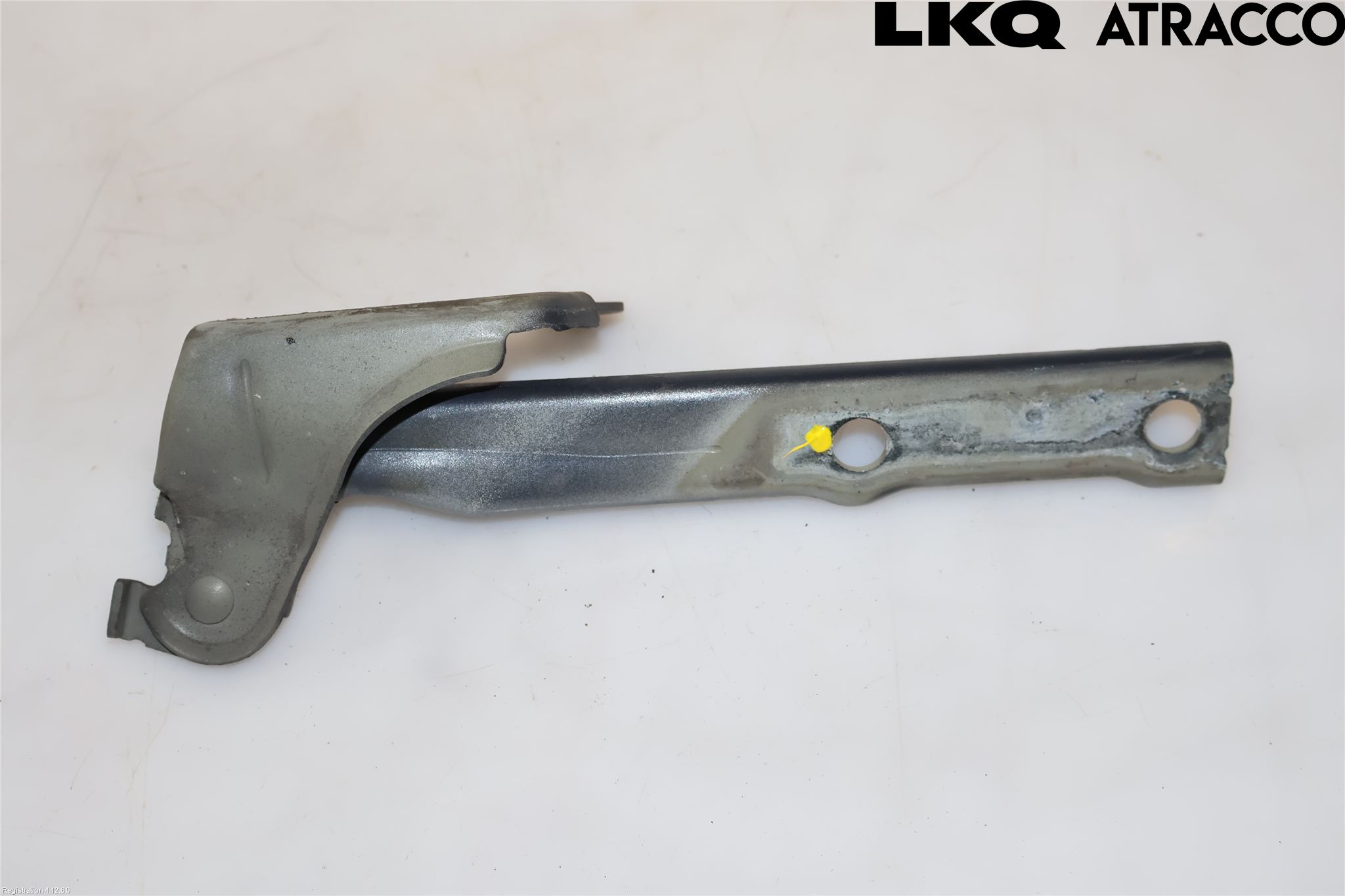Volkswagen VW TIGUAN 07-16 Panser Hengsel - Hengsler