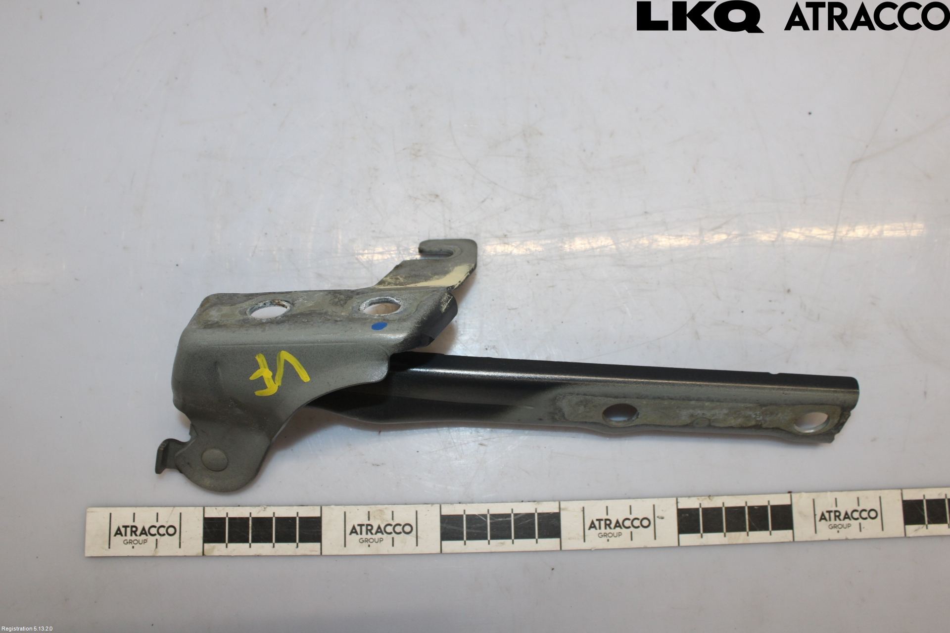 Volkswagen VW TIGUAN 07-16 Panser Hengsel - Hengsler