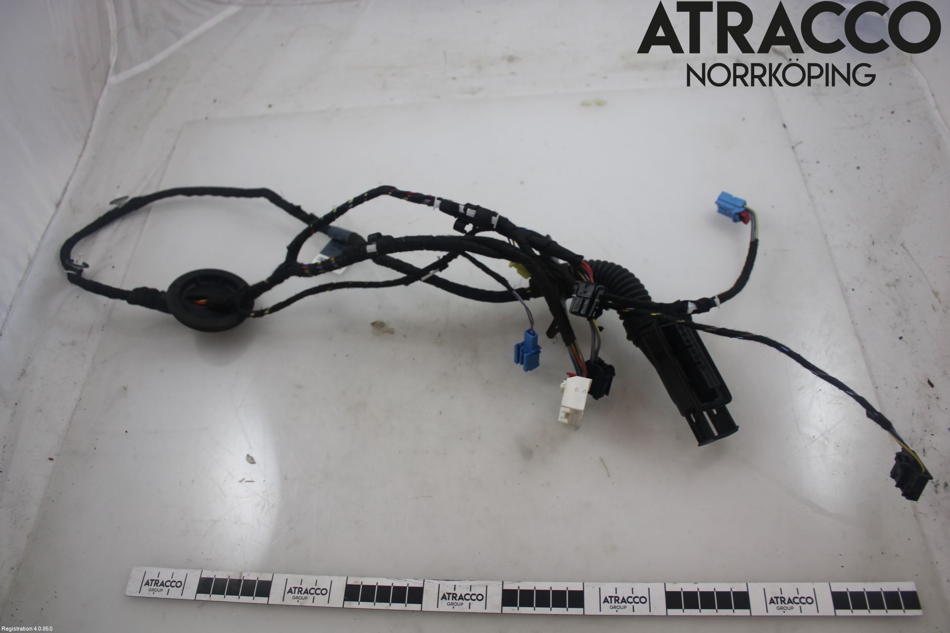 Audi A3/S3 8Y 21- Ledningsnett