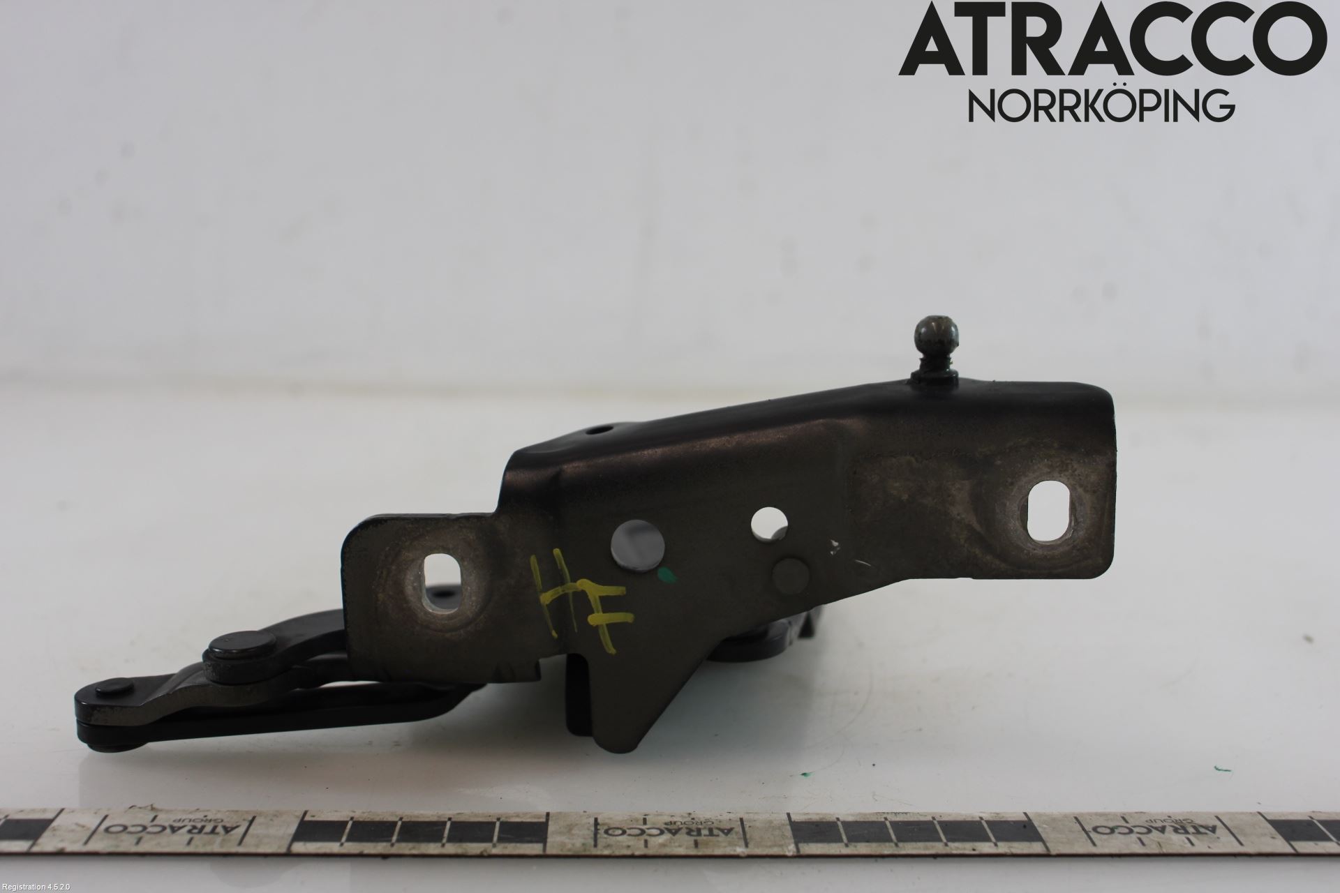BMW X6 E71/E72   08-14 Panser Hengsel - Hengsler