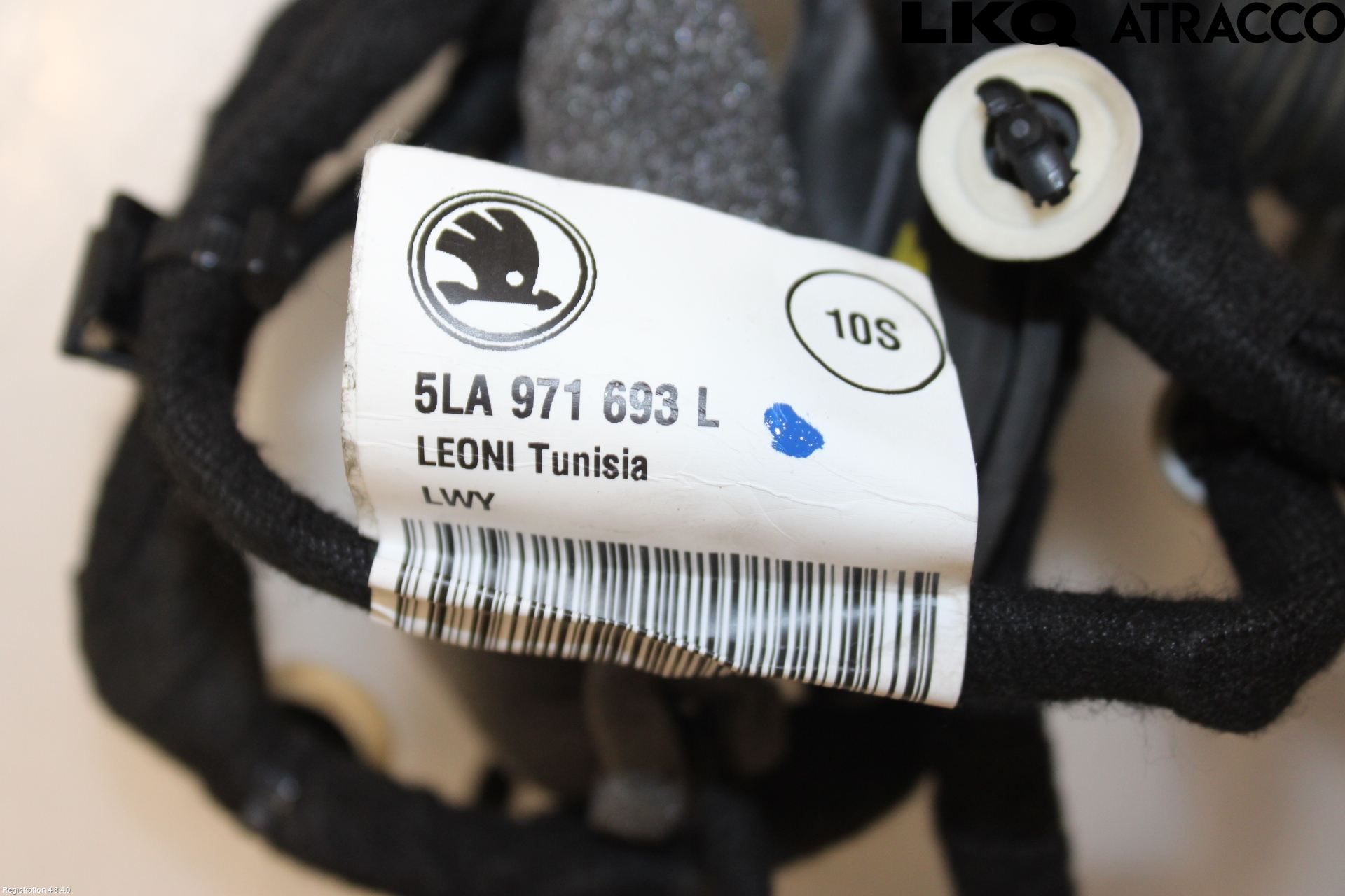 Skoda ENYAQ iV 21- Ledningsnett