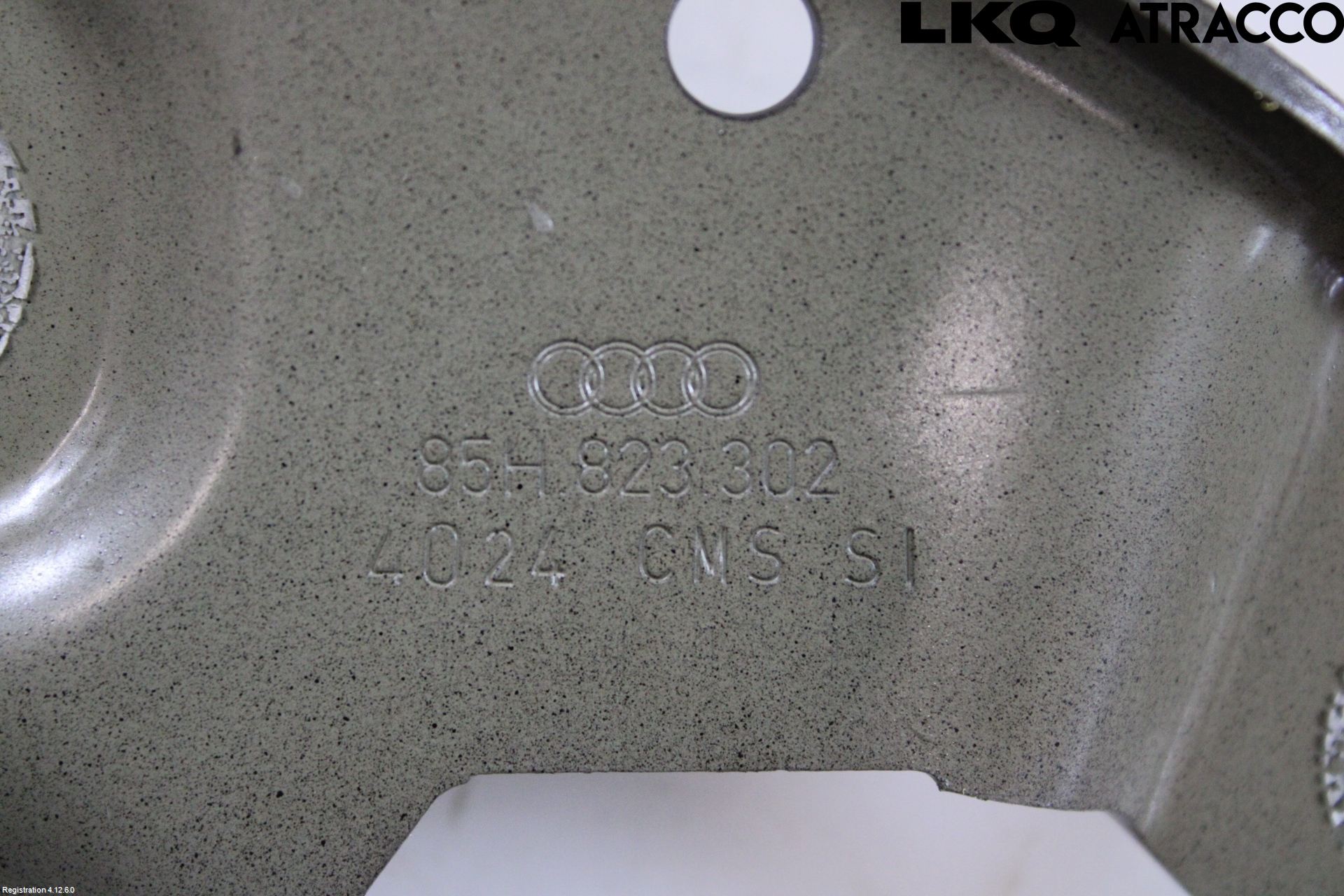 Audi Q6 E-TRON CN 24- Panser Hengsel - Hengsler