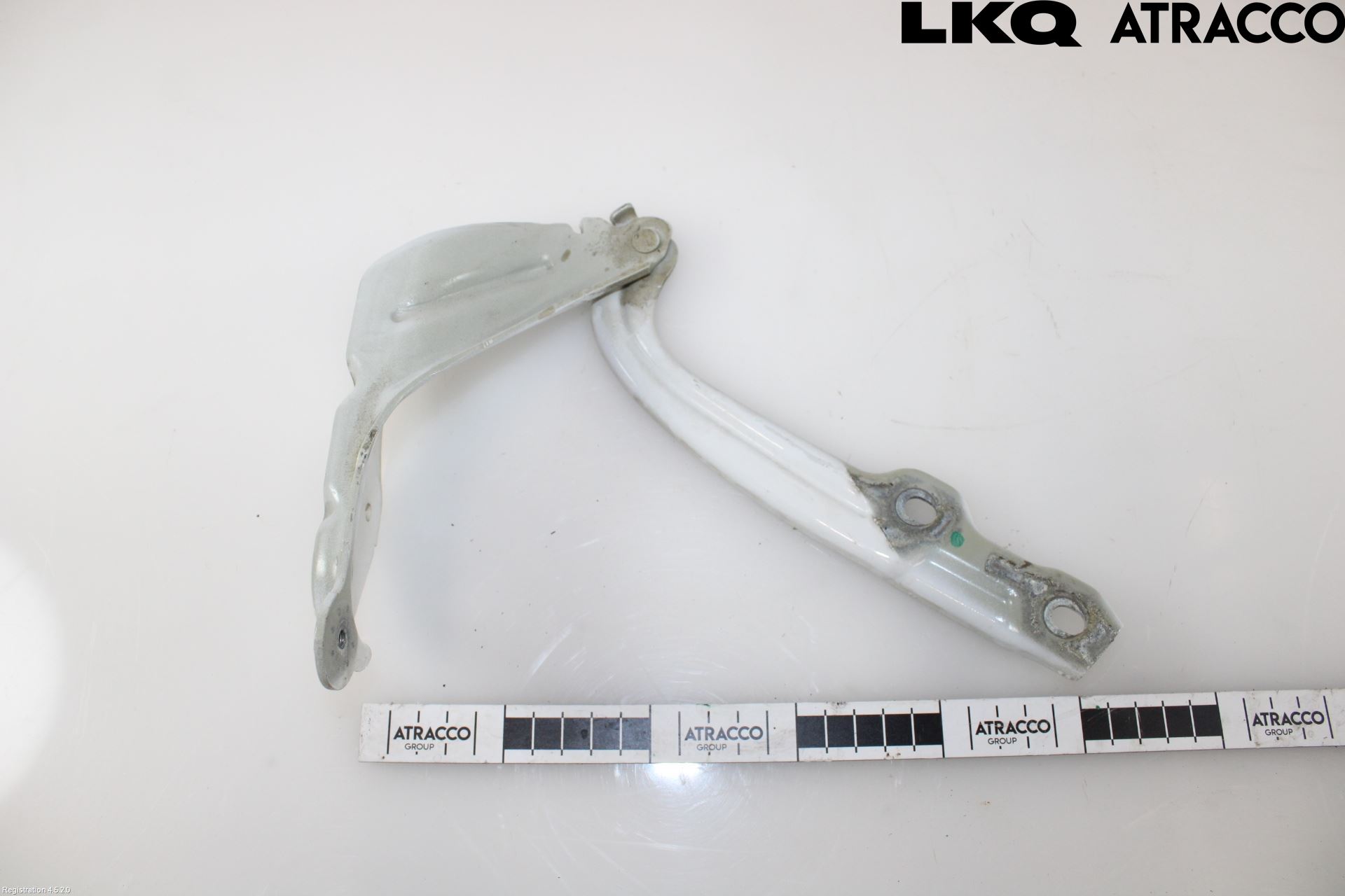 Skoda OCTAVIA (5E) 13-20 Panser Hengsel - Hengsler