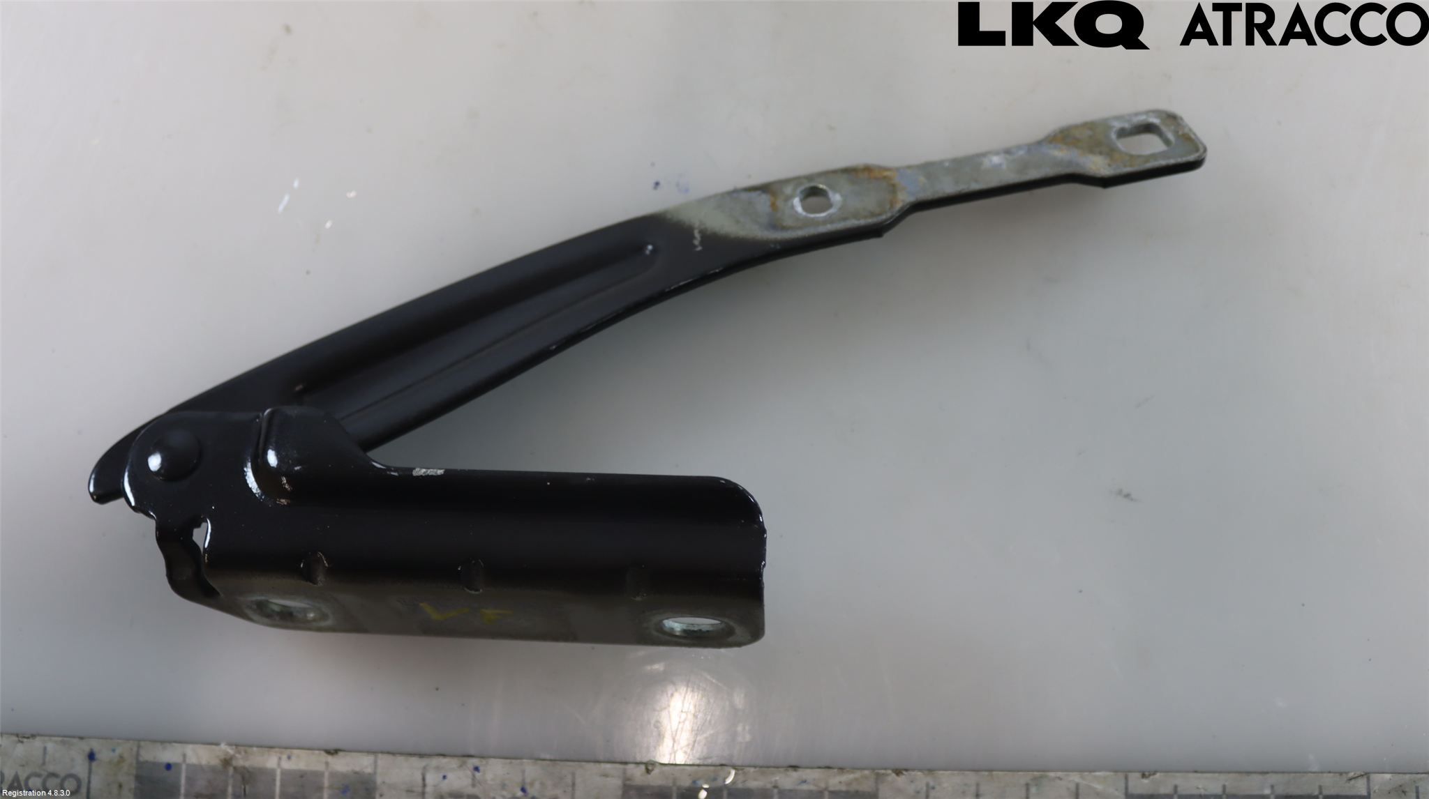 Dacia LODGY 12-18 Panser Hengsel - Hengsler