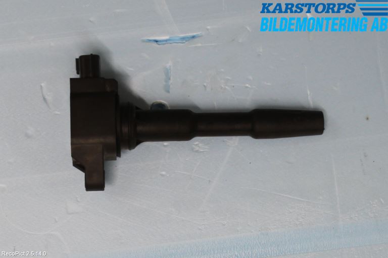 Renault CLIO IV 12-16 Coil