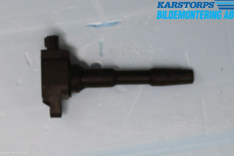 Renault CLIO IV 12-16 Coil