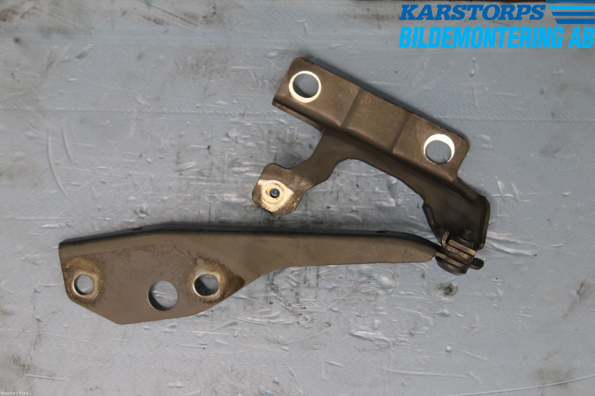 Volvo V50 08-12 Panser Hengsel - Hengsler