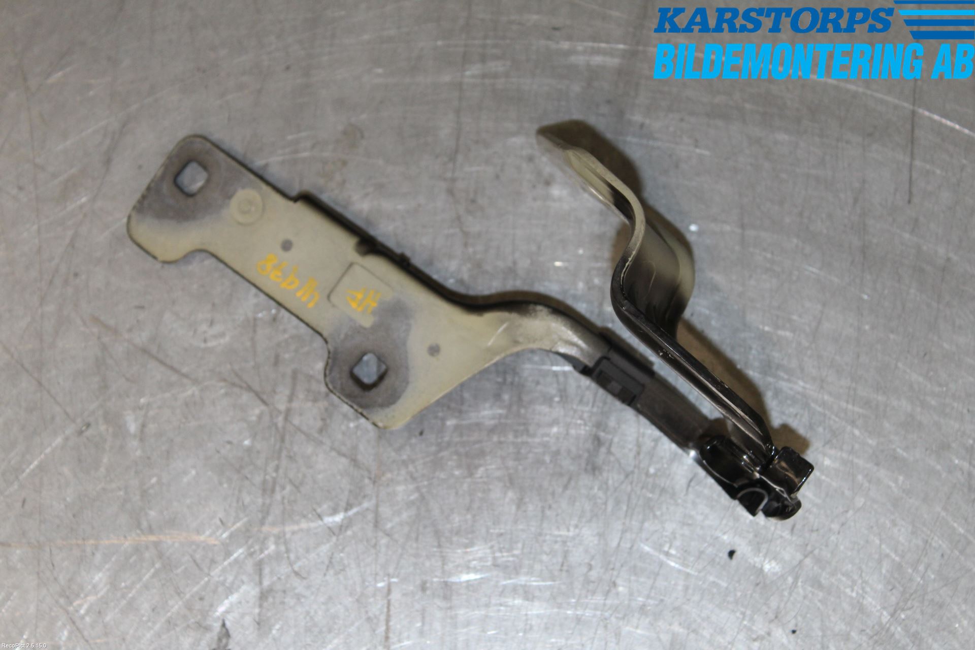 Renault CLIO III  09-12 Panser Hengsel - Hengsler