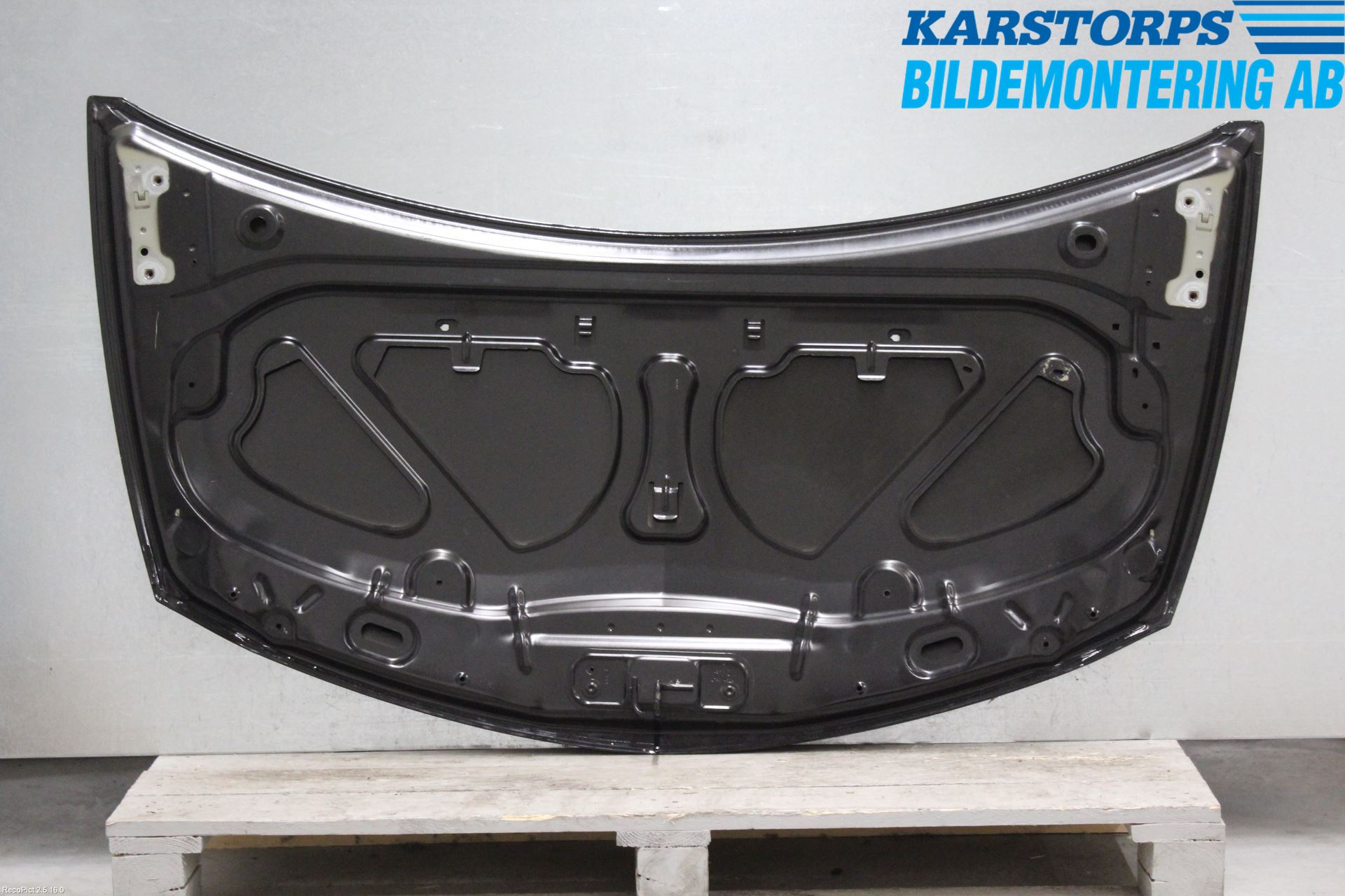 Renault CLIO III  09-12 Panser