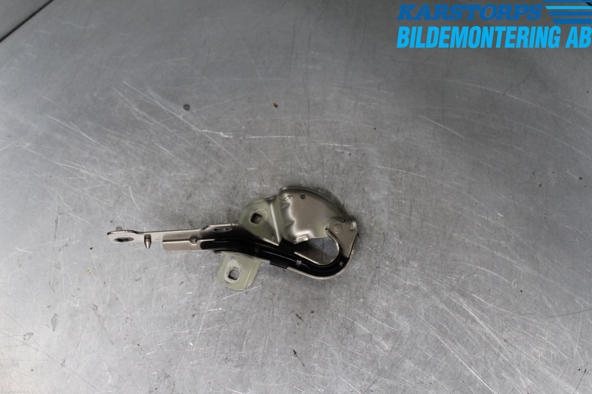 Renault CLIO III  09-12 Panser Hengsel - Hengsler