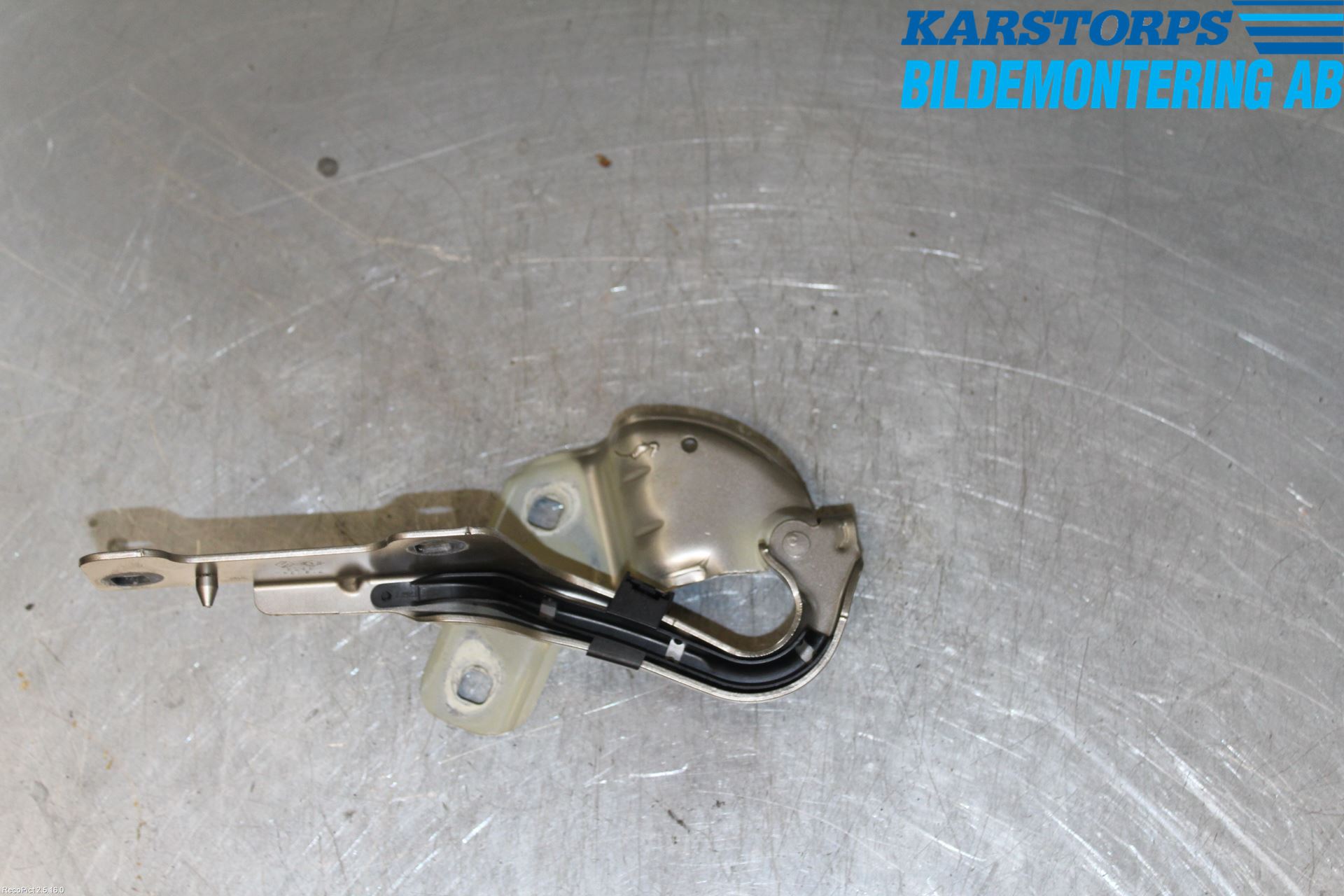 Renault CLIO III  09-12 Panser Hengsel - Hengsler