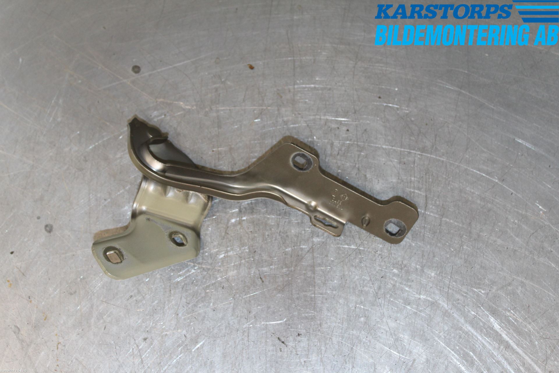 Renault CLIO III  09-12 Panser Hengsel - Hengsler