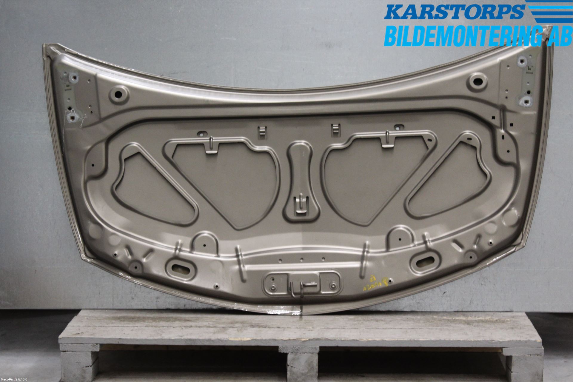 Renault CLIO III  09-12 Panser