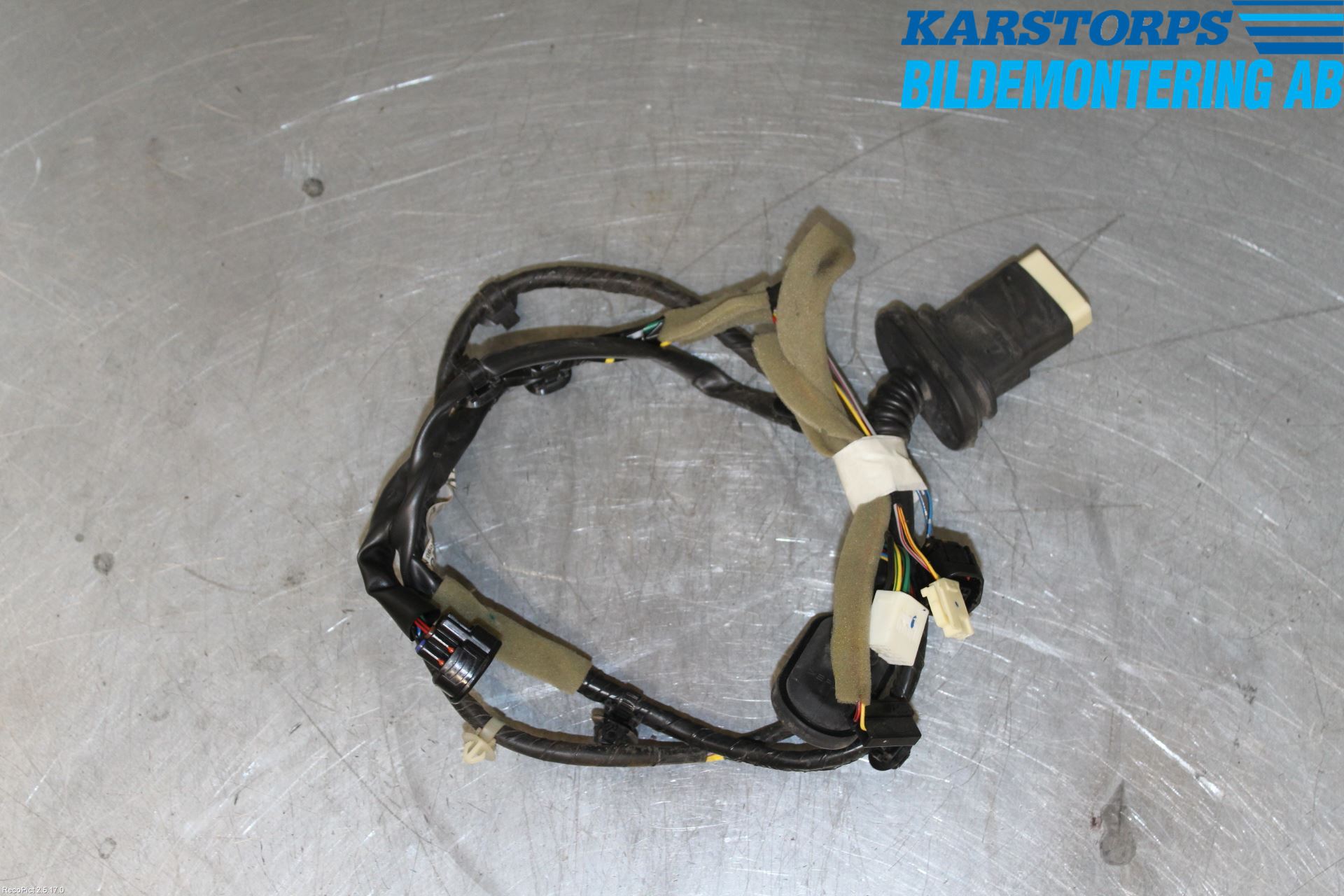 Mitsubishi PAJERO 06-15 Ledningsnett