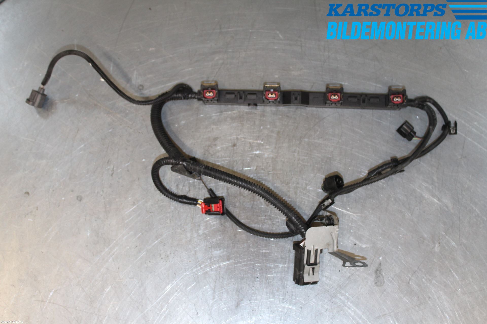 Ford FOCUS     04-07 Ledningsnett