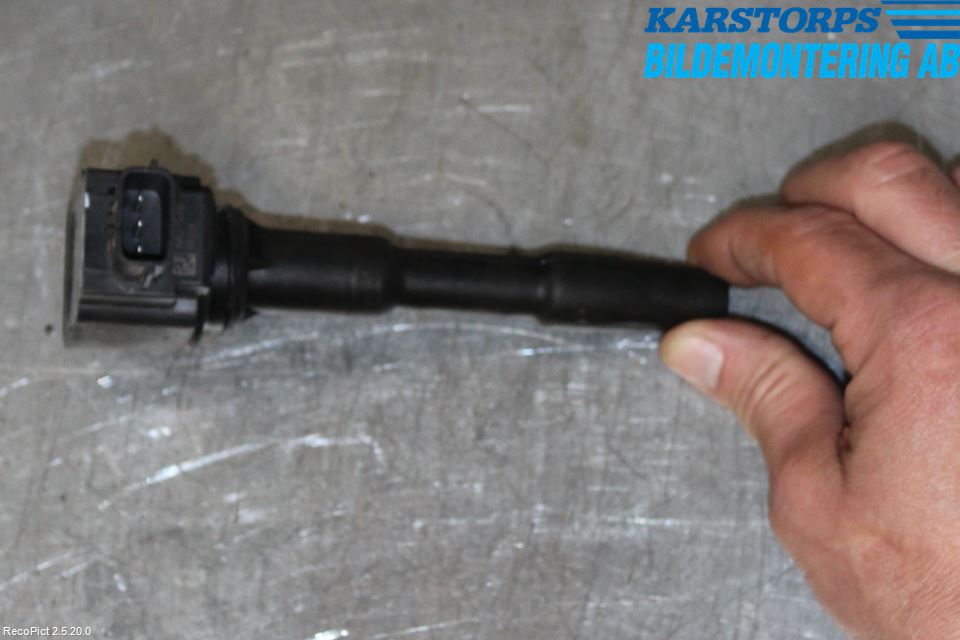 Dacia SANDERO/STEPWAY 13-20 Coil
