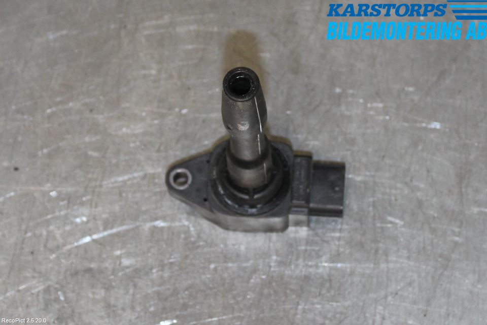 Dacia SANDERO/STEPWAY 13-20 Coil