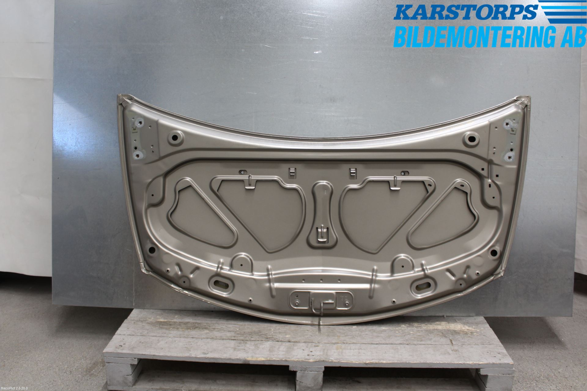 Renault CLIO III  06-09 Panser