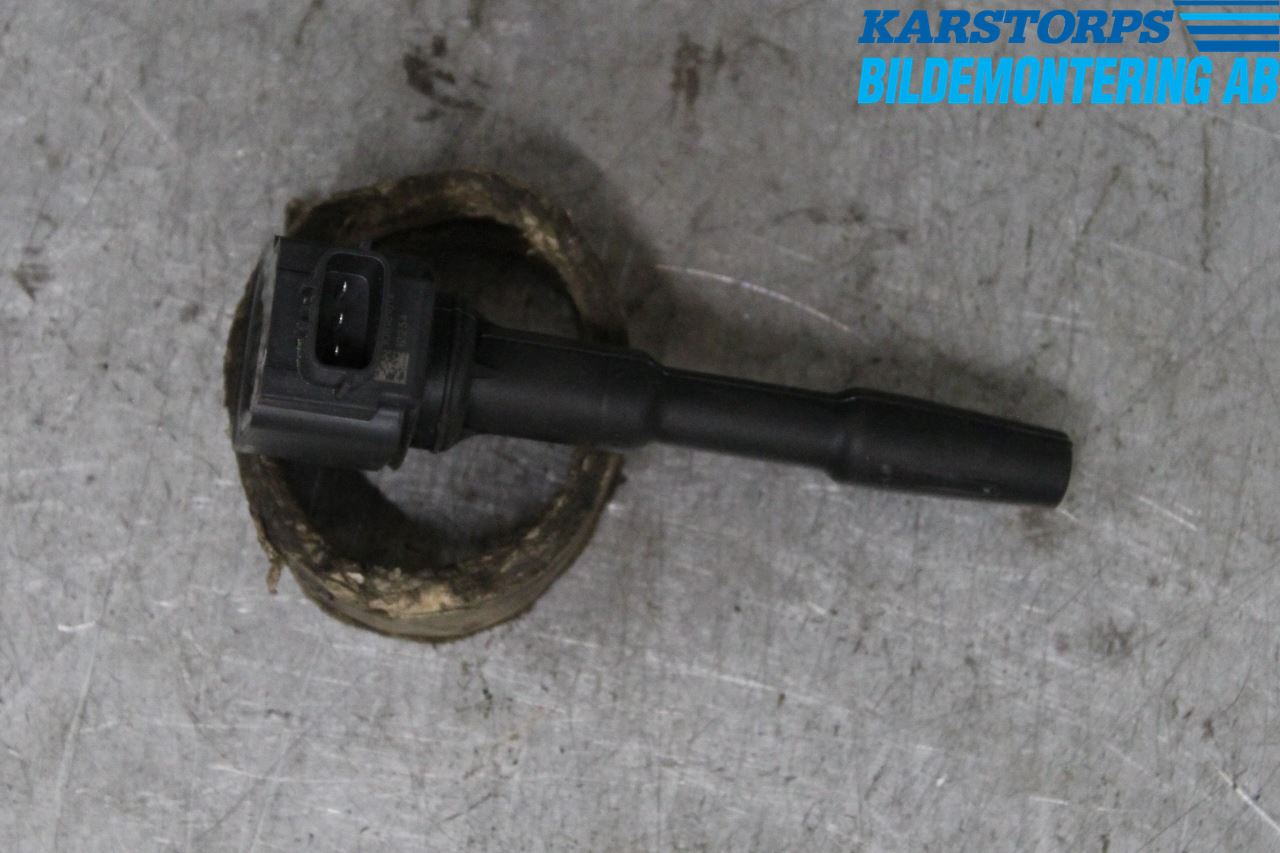 Dacia SANDERO/STEPWAY 13-20 Coil