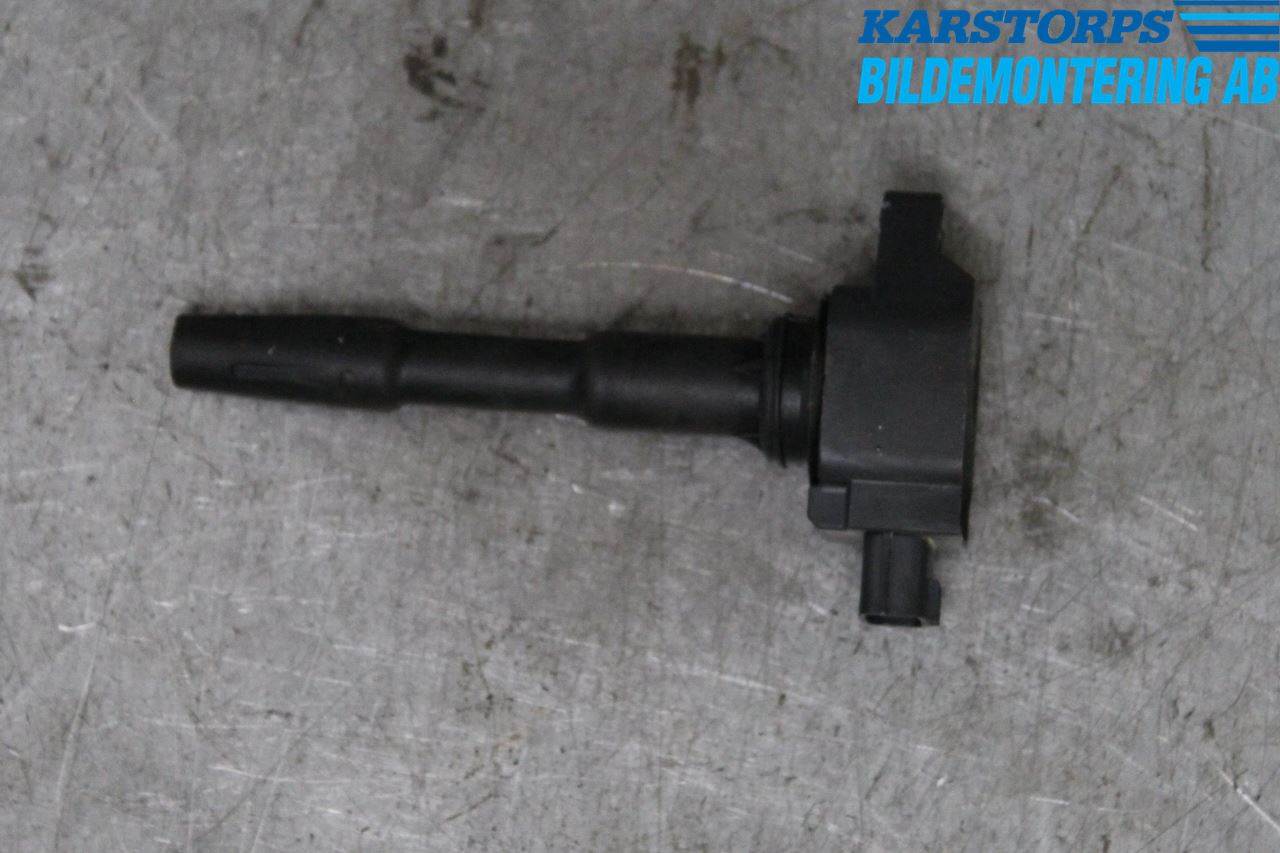 Dacia SANDERO/STEPWAY 13-20 Coil