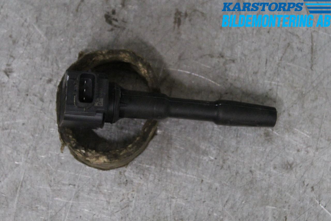 Dacia SANDERO/STEPWAY 13-20 Coil
