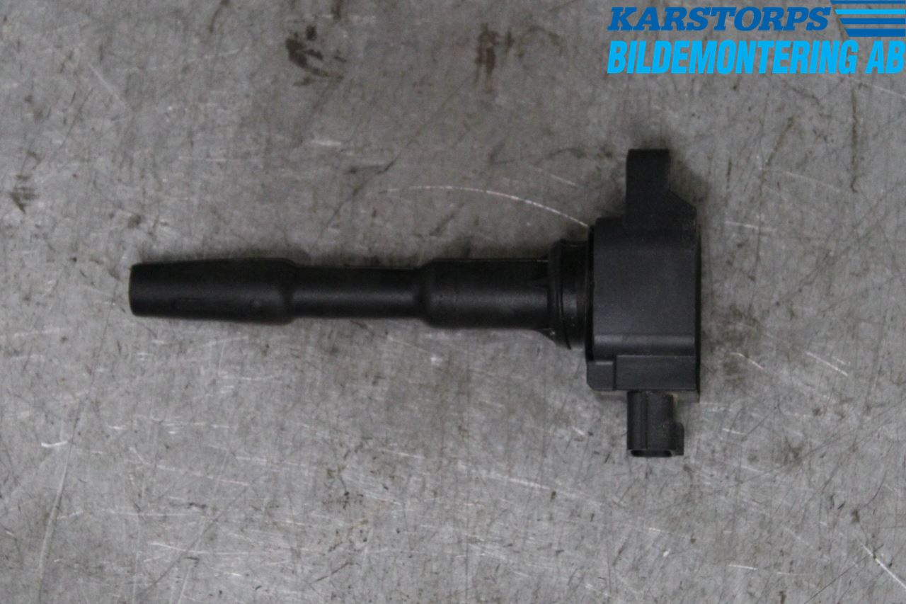 Dacia SANDERO/STEPWAY 13-20 Coil