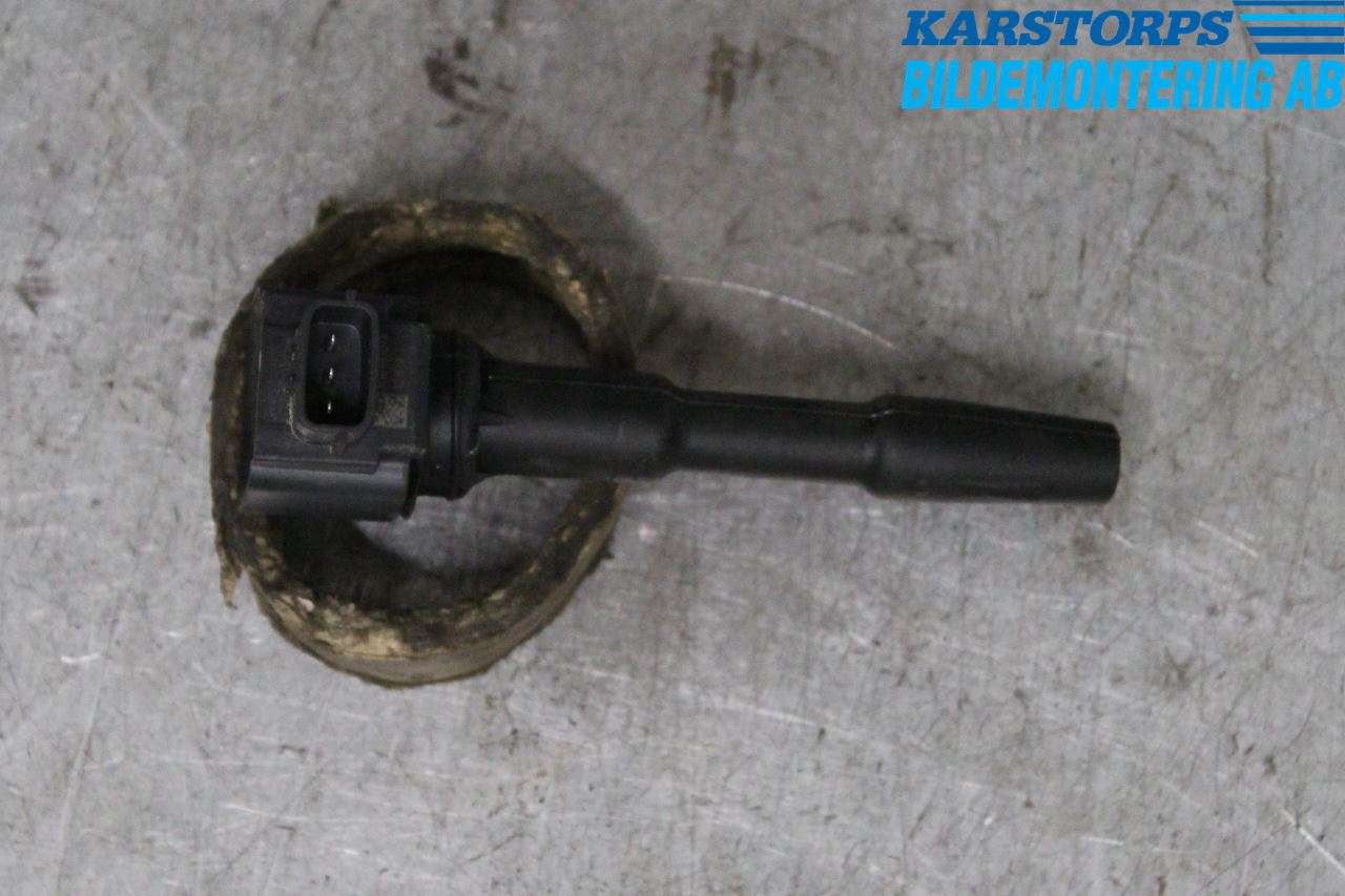 Dacia SANDERO/STEPWAY 13-20 Coil