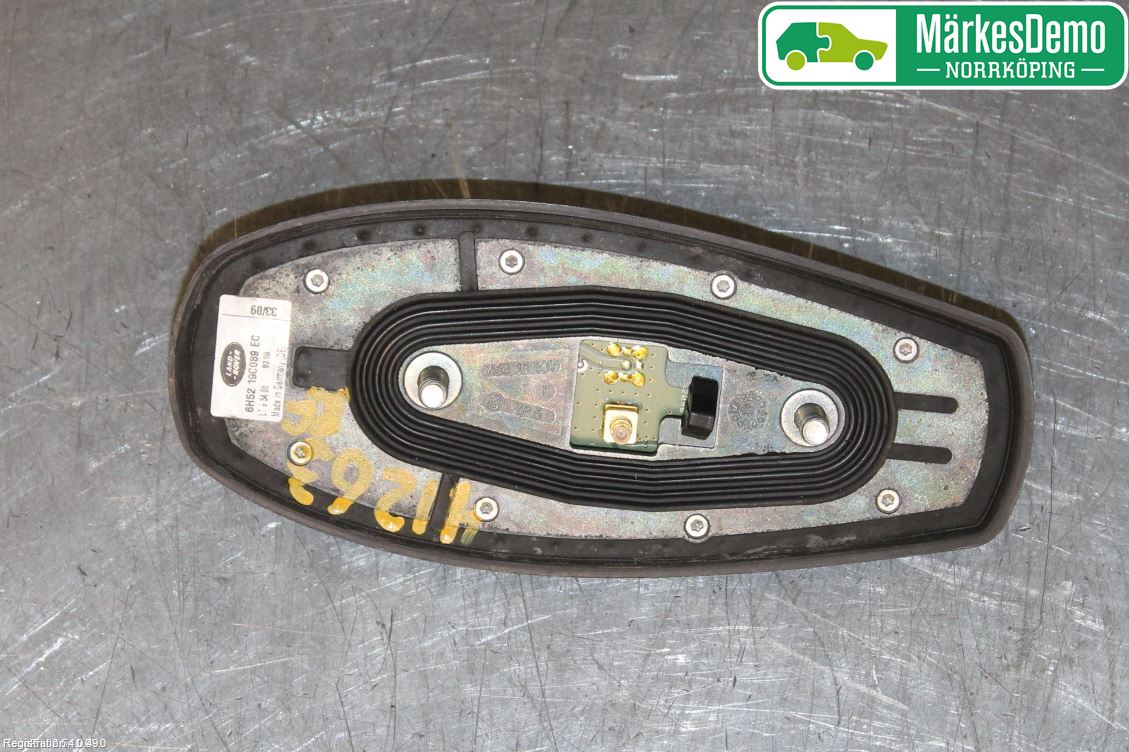 Landrover RANGE ROVER SPORT (L320) 10-13 Stereo Antenne Radio-Tv