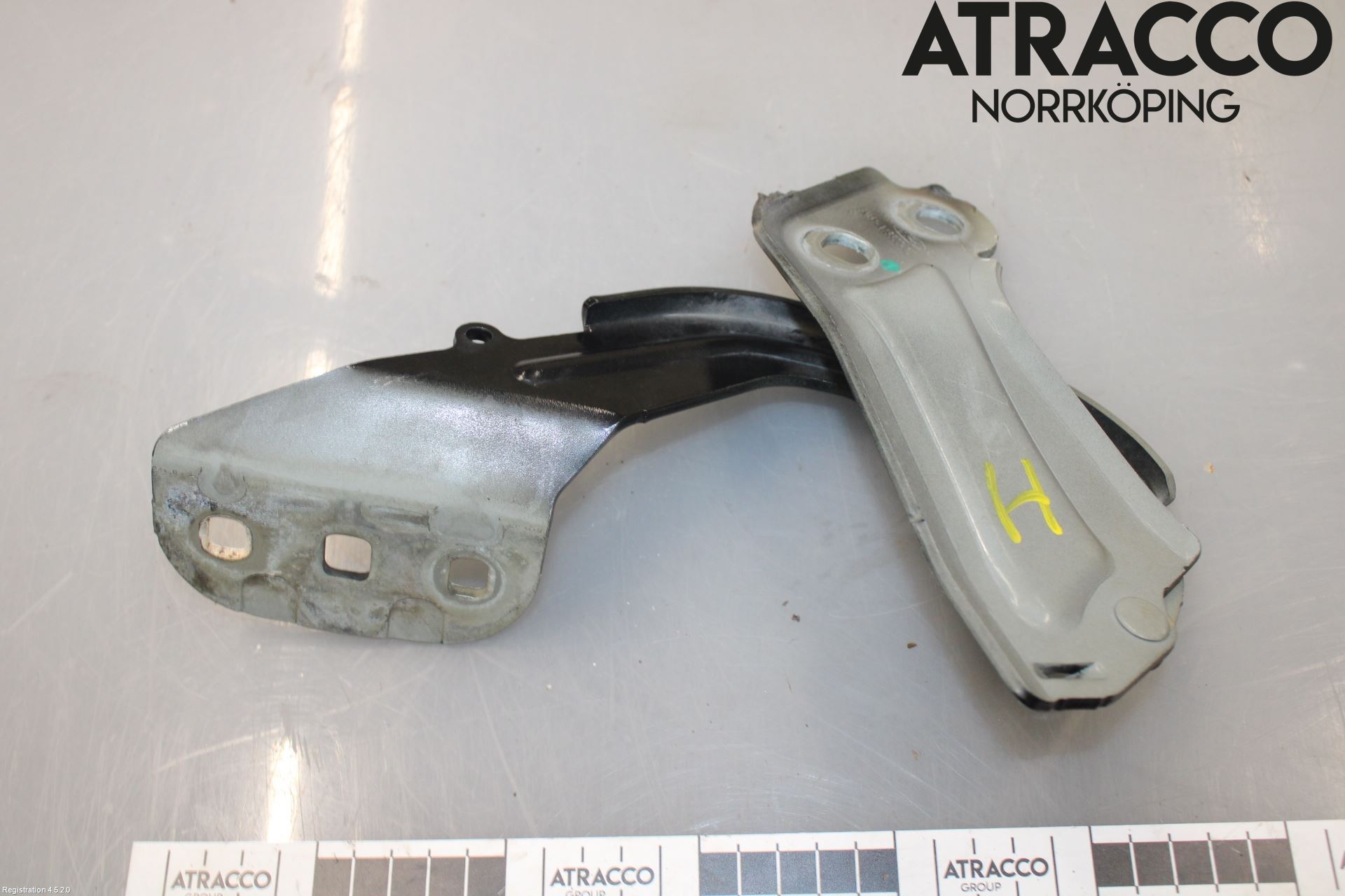Ford FOCUS 15-18 Panser Hengsel - Hengsler
