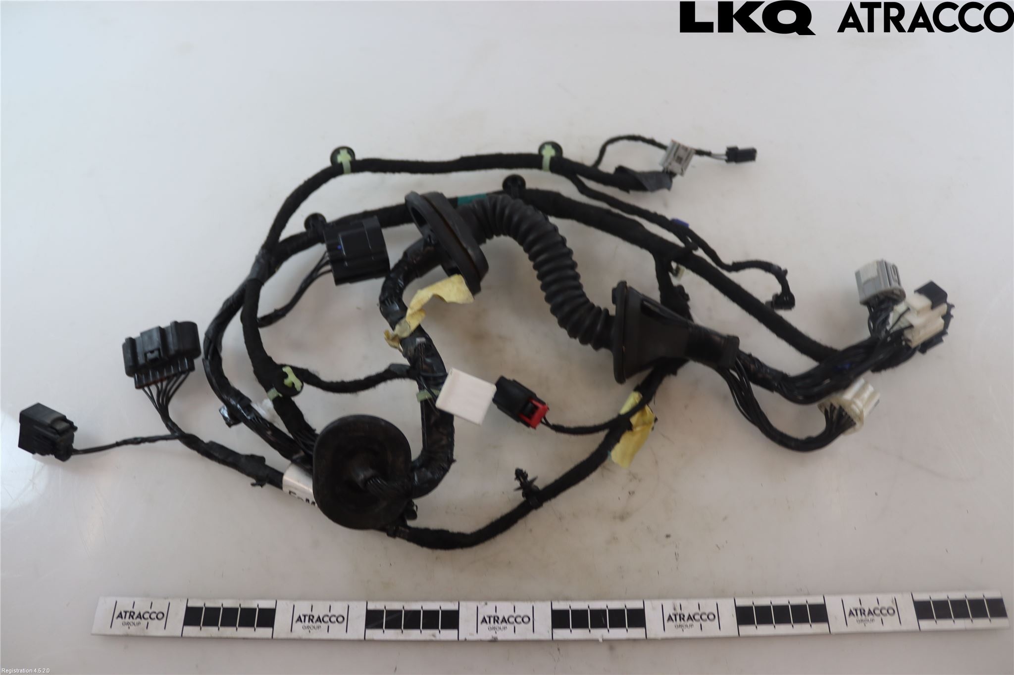 Ford RANGER EU 12-23 Ledningsnett
