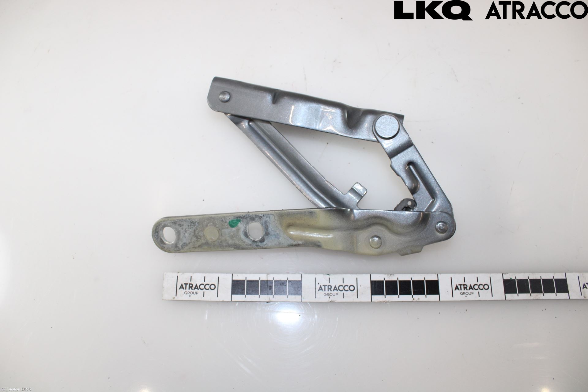 Volkswagen VW TRANSP/CARAVELLE (T5) 04-15 Panser Hengsel - Hengsler