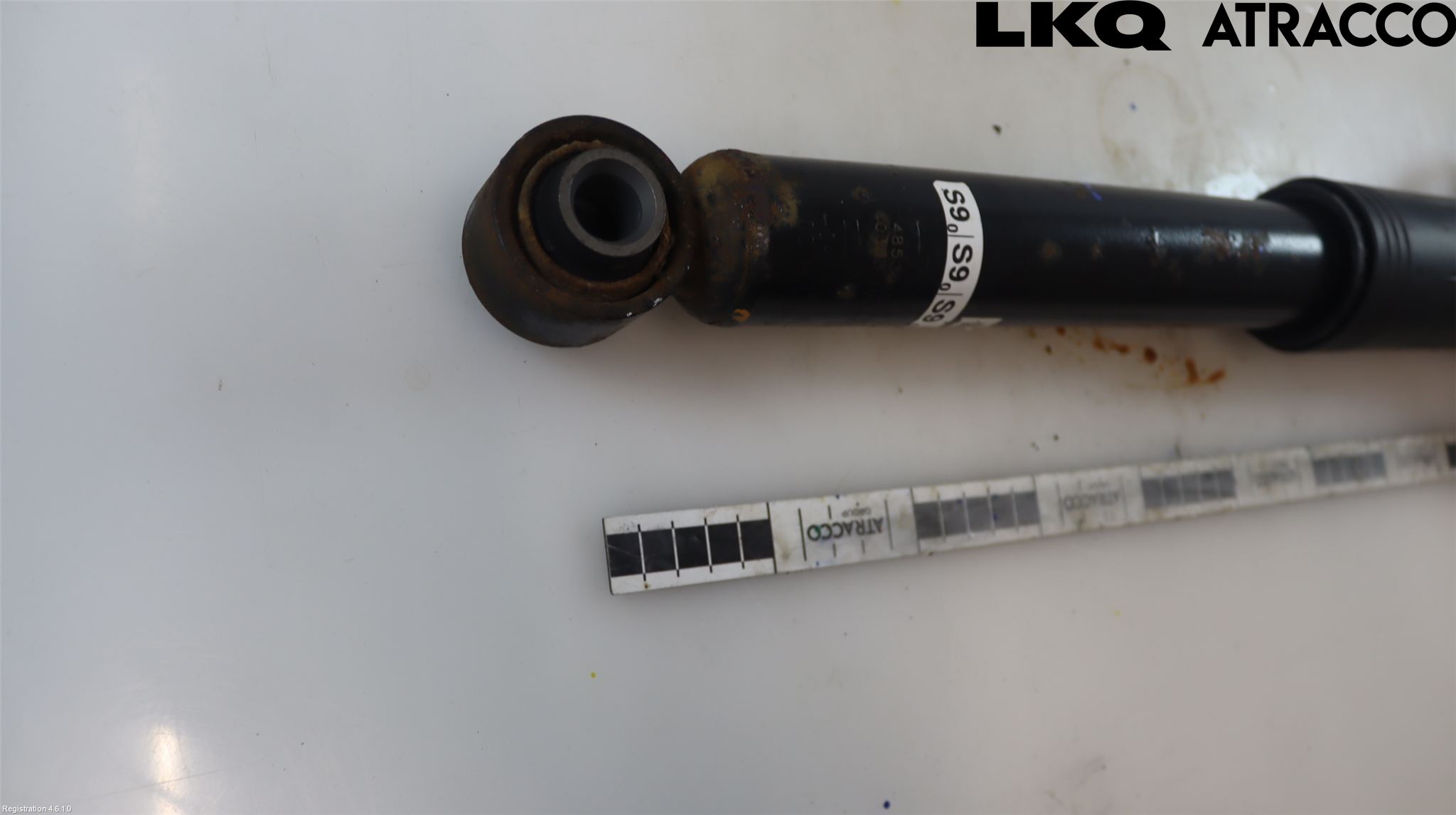 Toyota COROLLA 19- Støtdemper Bak