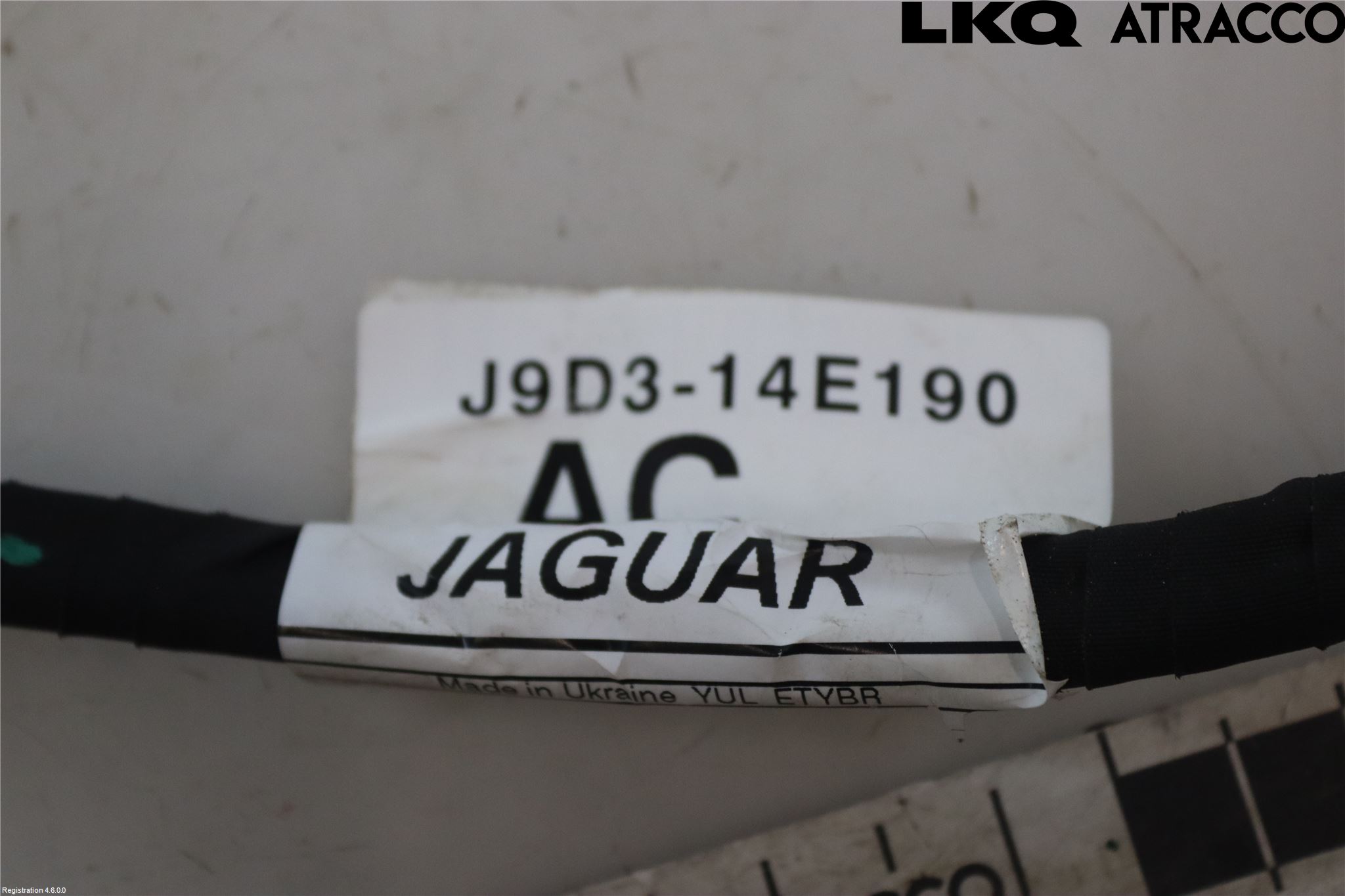 Jaguar I-PACE 18- Ledningsnett
