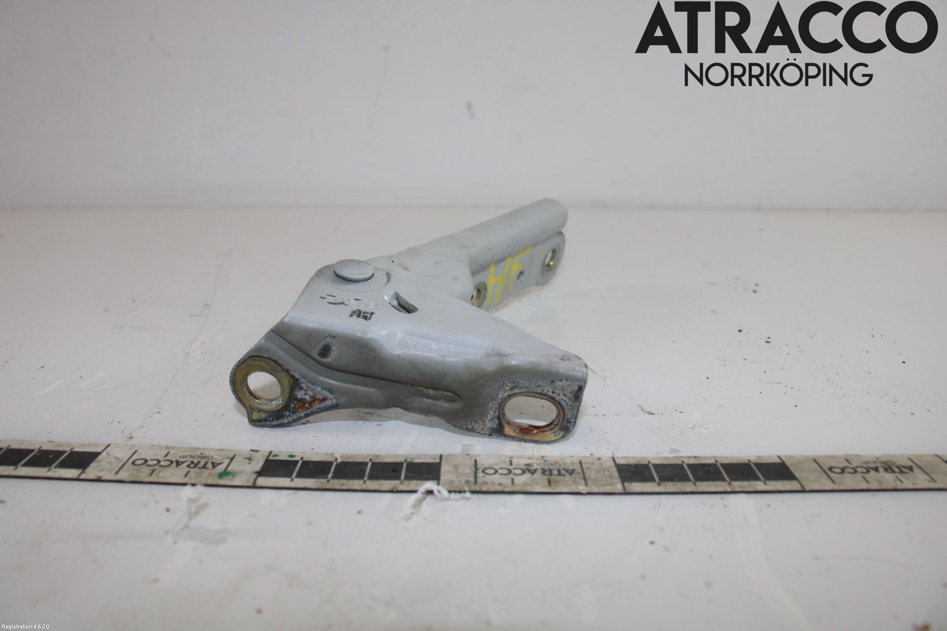 Hyundai ELANTRA HD 04-10 Panser Hengsel - Hengsler