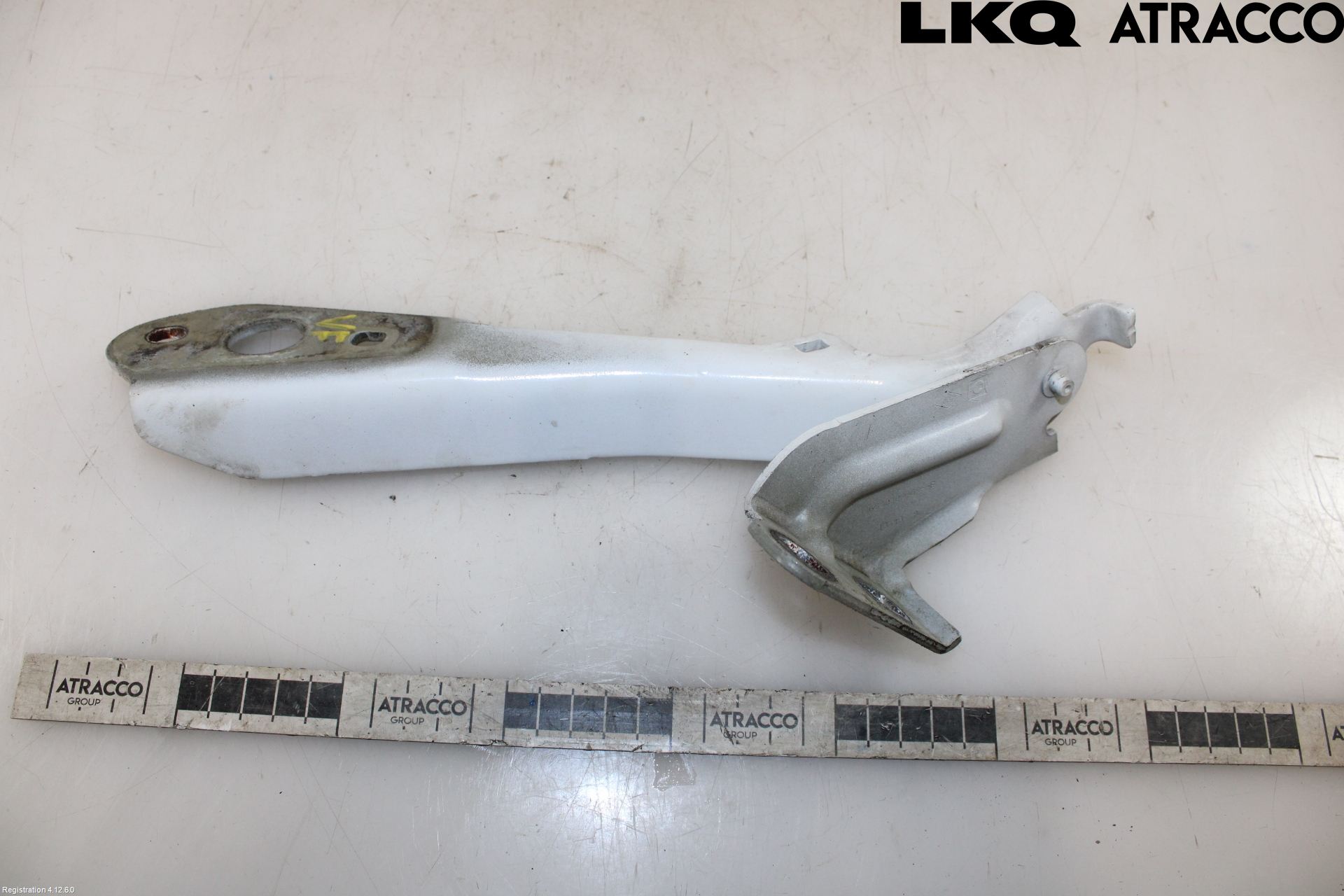 Renault MASTER III  10-14 Panser Hengsel - Hengsler