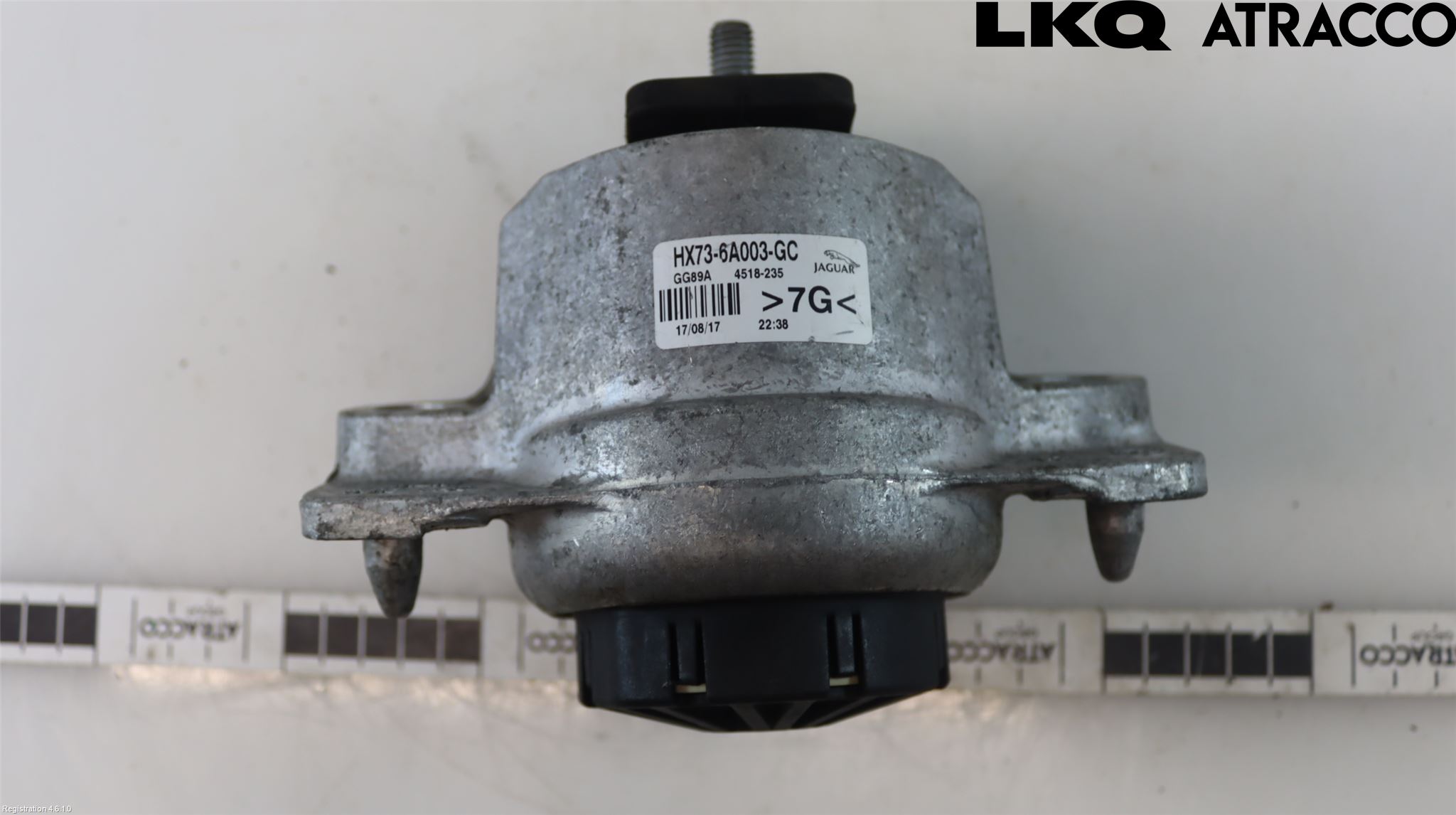 Jaguar XF (X260) 16-24 Motor Feste Gummi