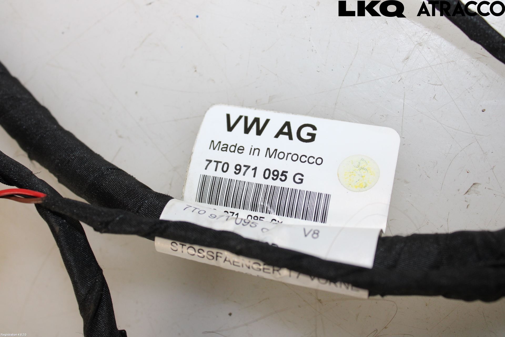 Volkswagen VW TRANSP/CARAVELLE (T7) 22-24 Ledningsnett