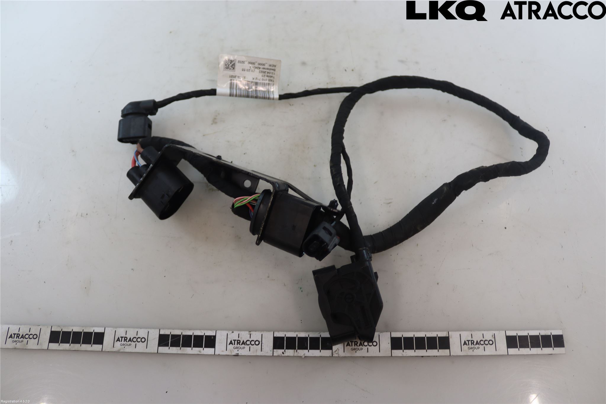 Audi A6 F2/C8 19- Ledningsnett