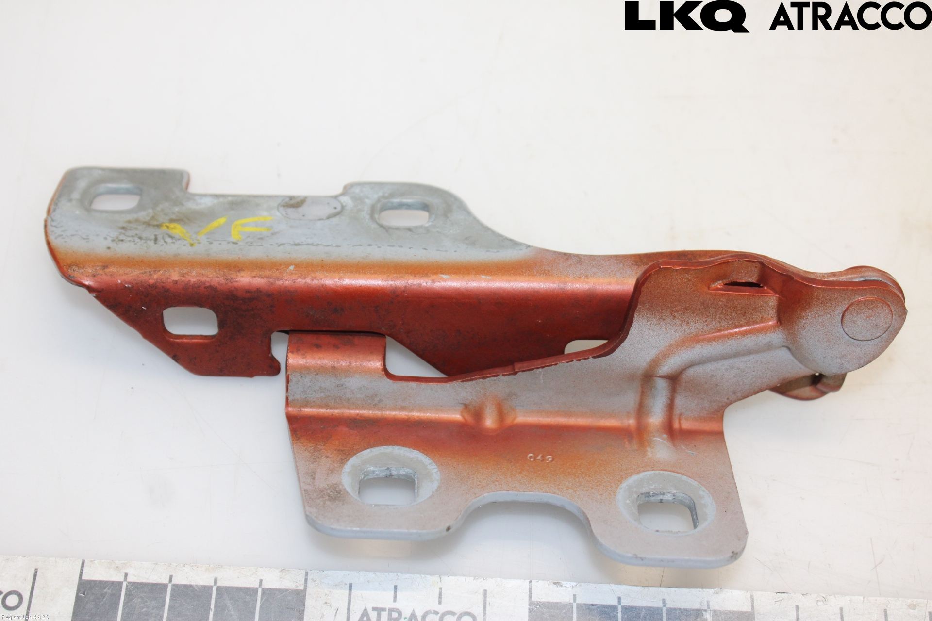 Renault CLIO II 99-01 Panser Hengsel - Hengsler