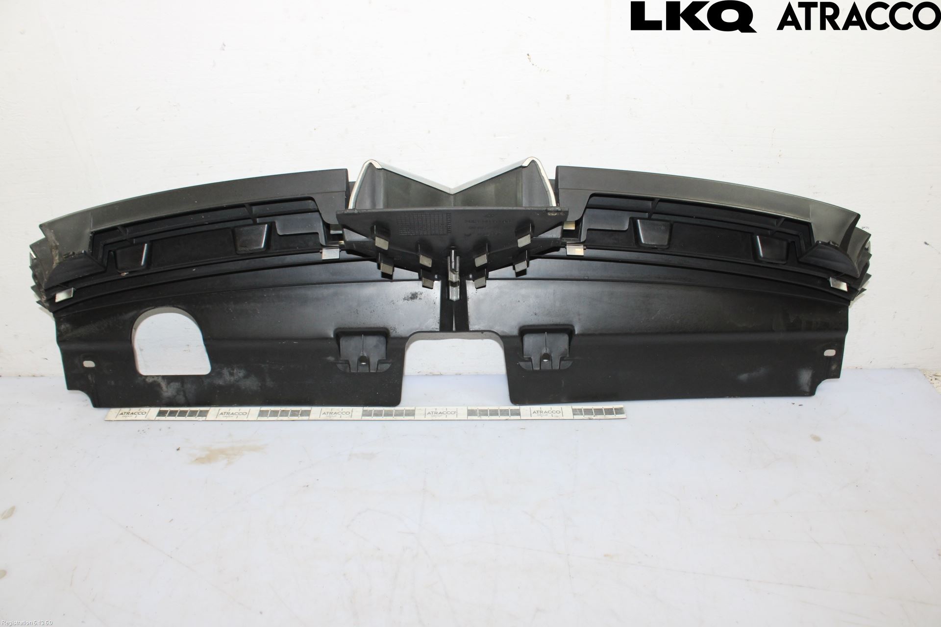 Citroen C5 -04 Grill-Gitter