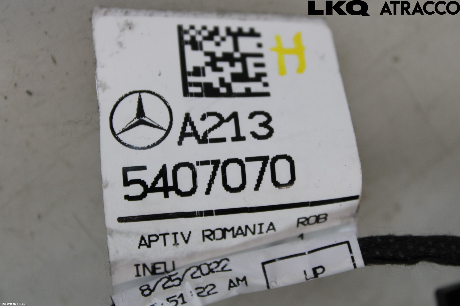 Mercedes-Benz MB E-KLASS (W213) 16-23 Ledningsnett