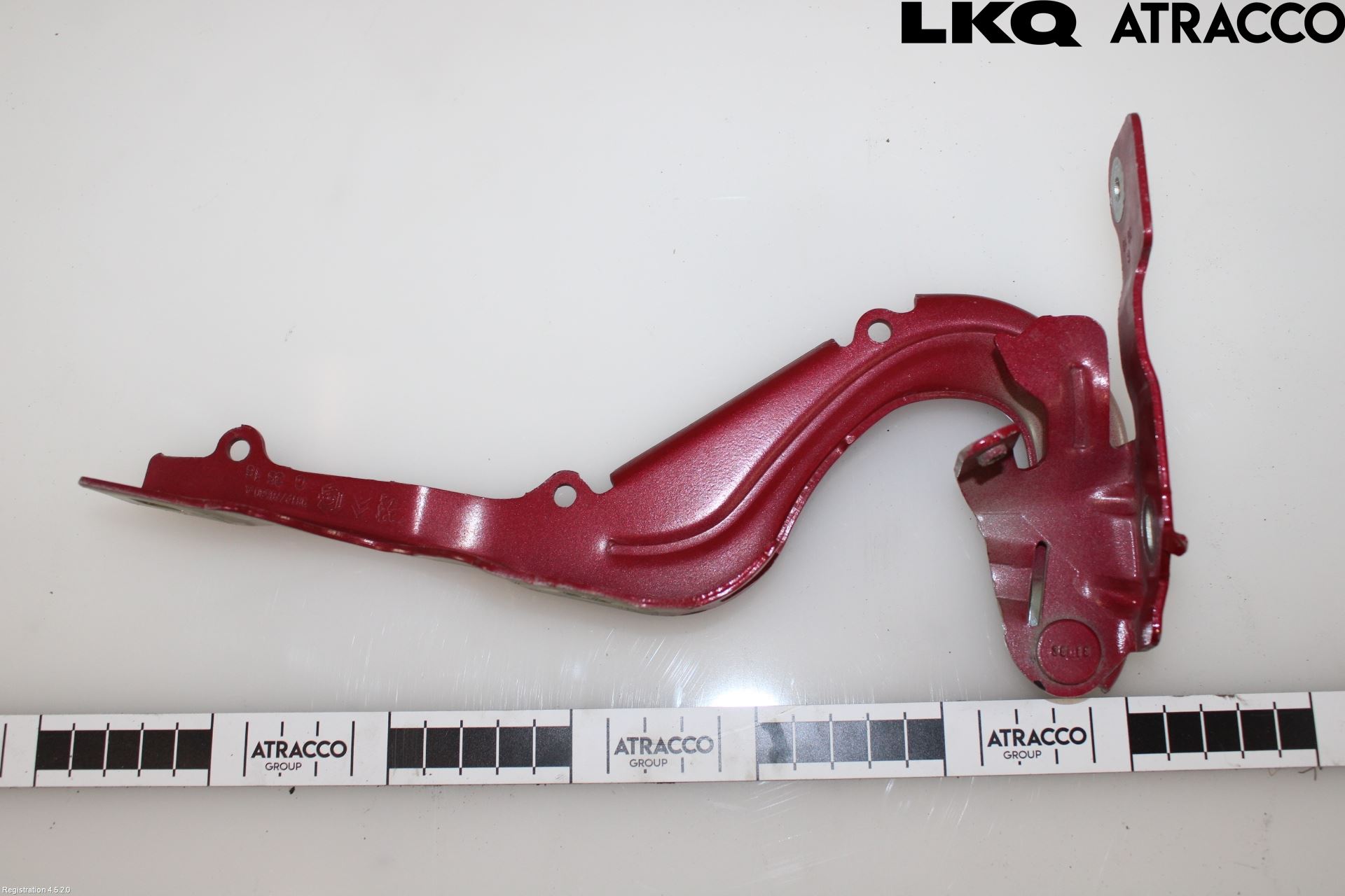 Citroen COTROEN C3 17-24 Panser Hengsel - Hengsler