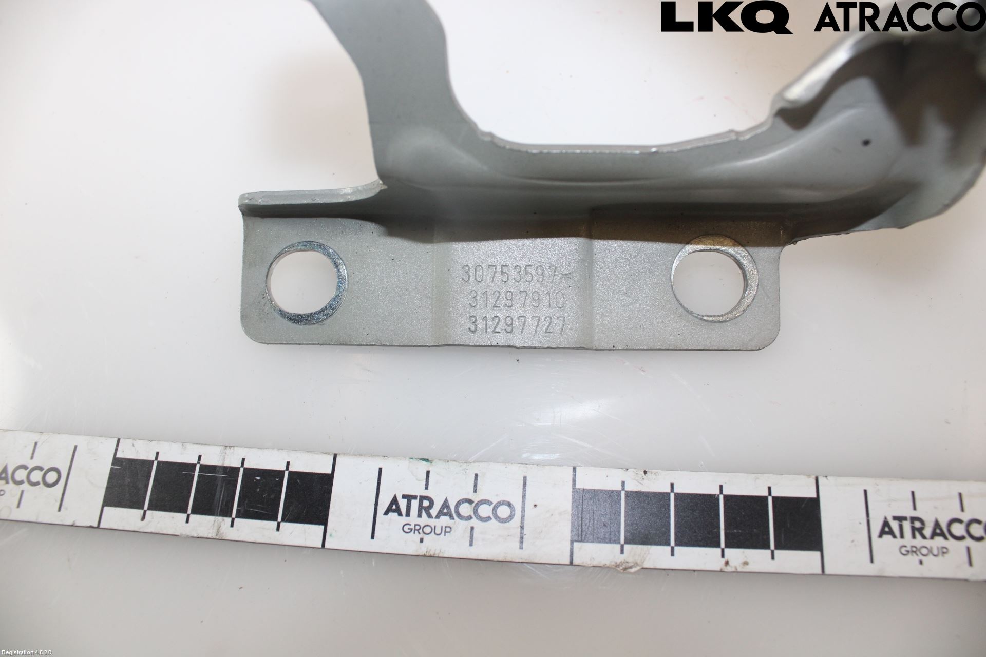 Volvo V50 08-12 Panser Hengsel - Hengsler