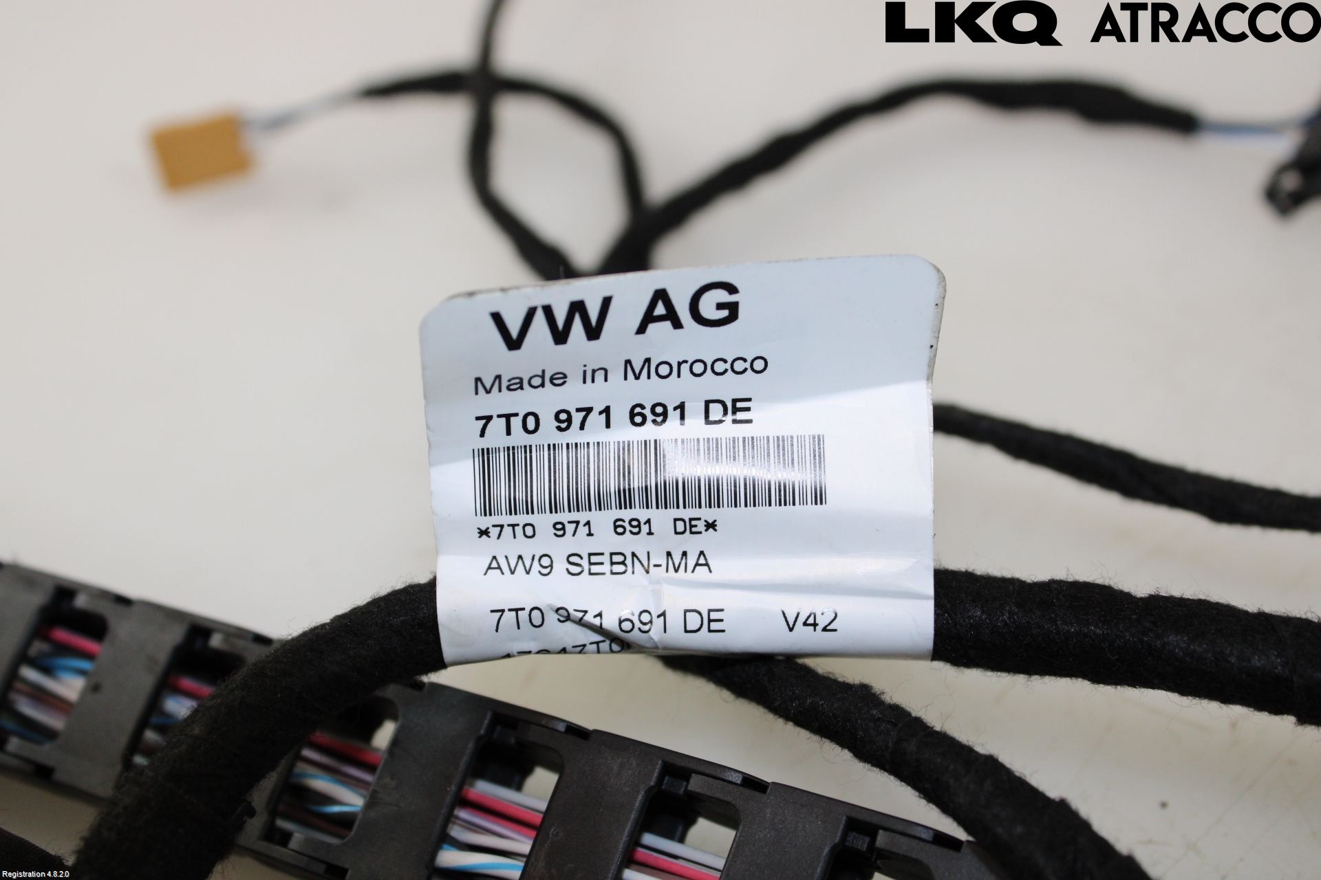 Volkswagen VW TRANSP/CARAVELLE (T7) 22-24 Ledningsnett