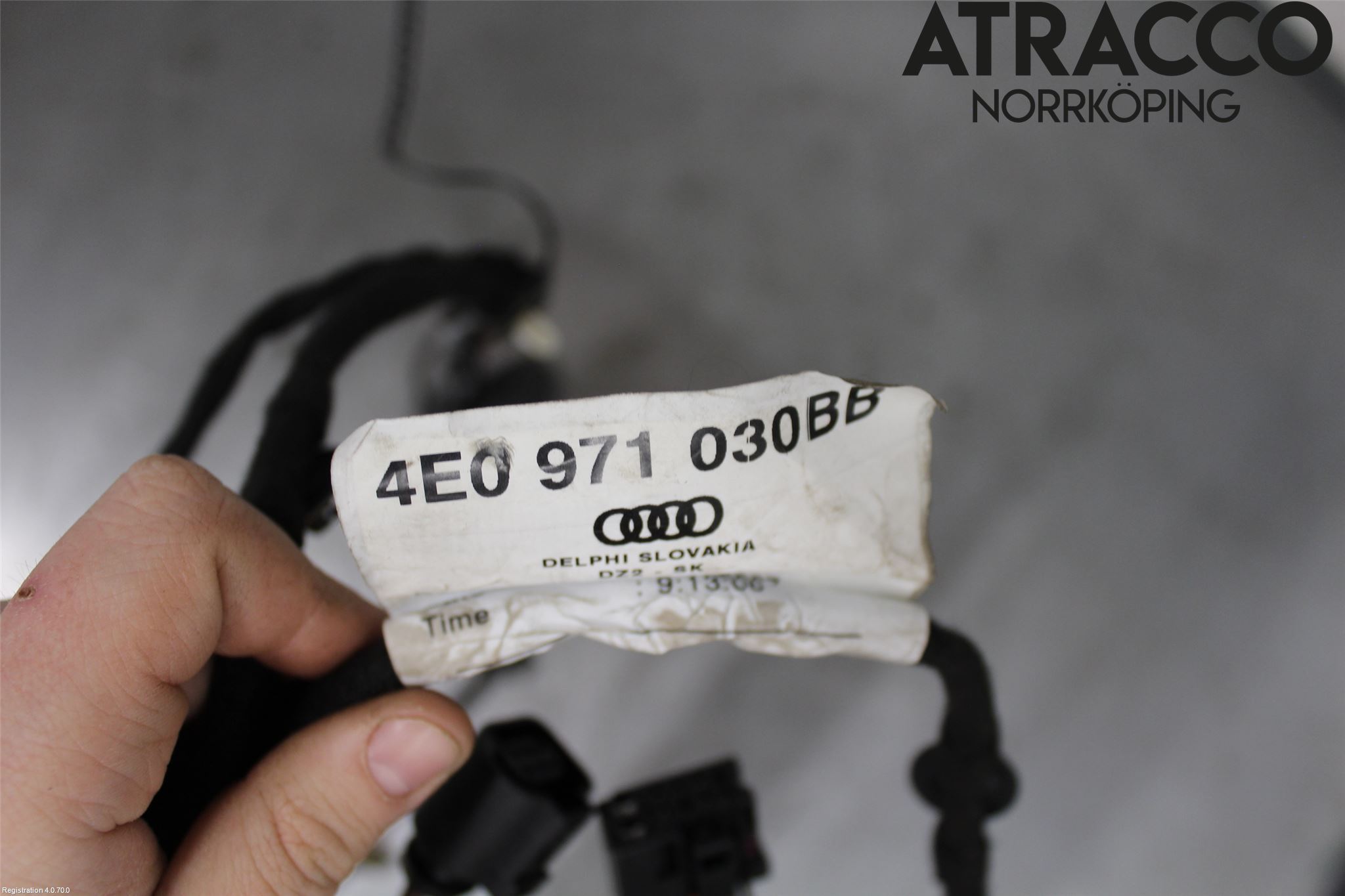 Audi A8/S8 4E  02-09 Ledningsnett