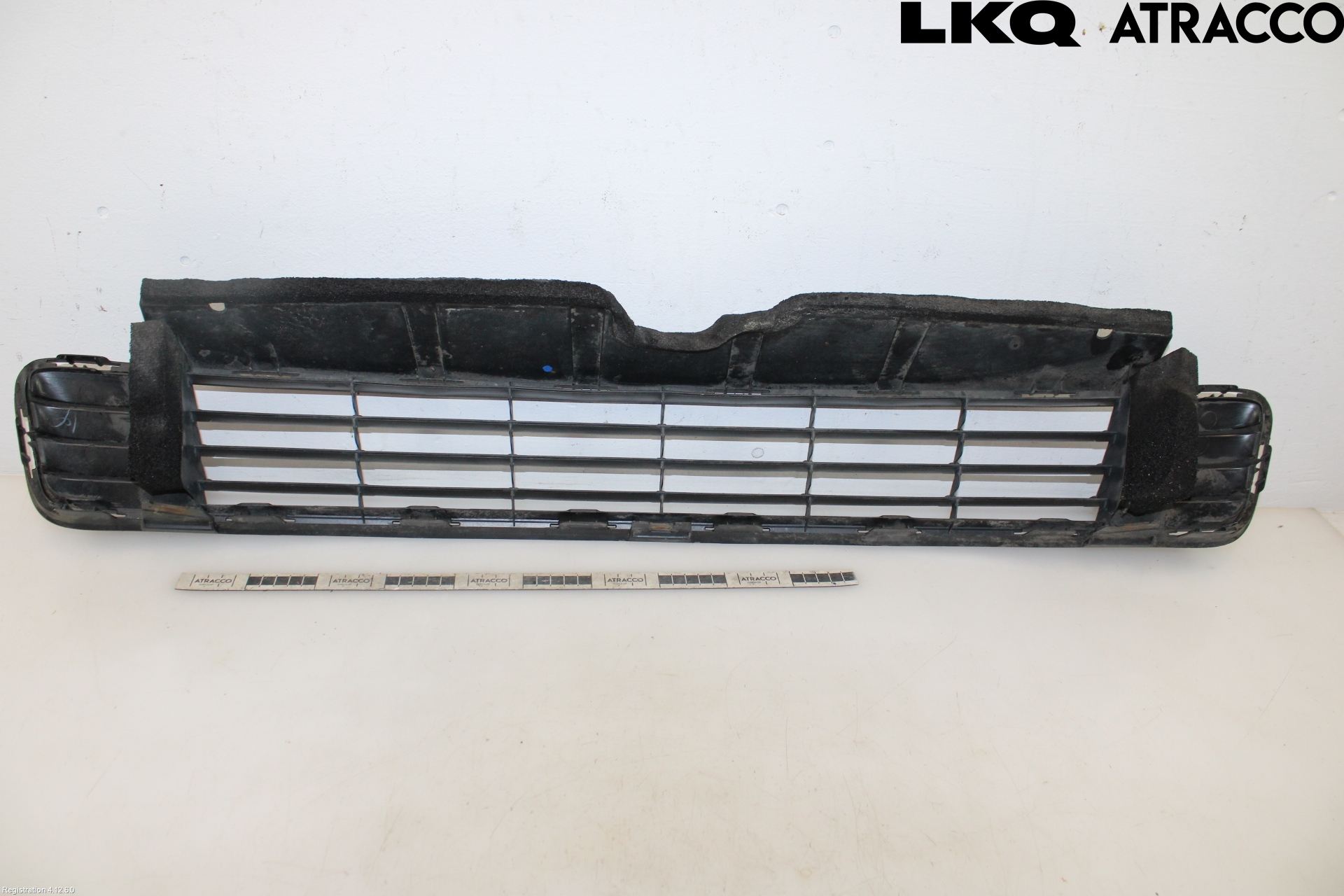 Toyota PRIUS ZVW30 09-20 Grill-Gitter