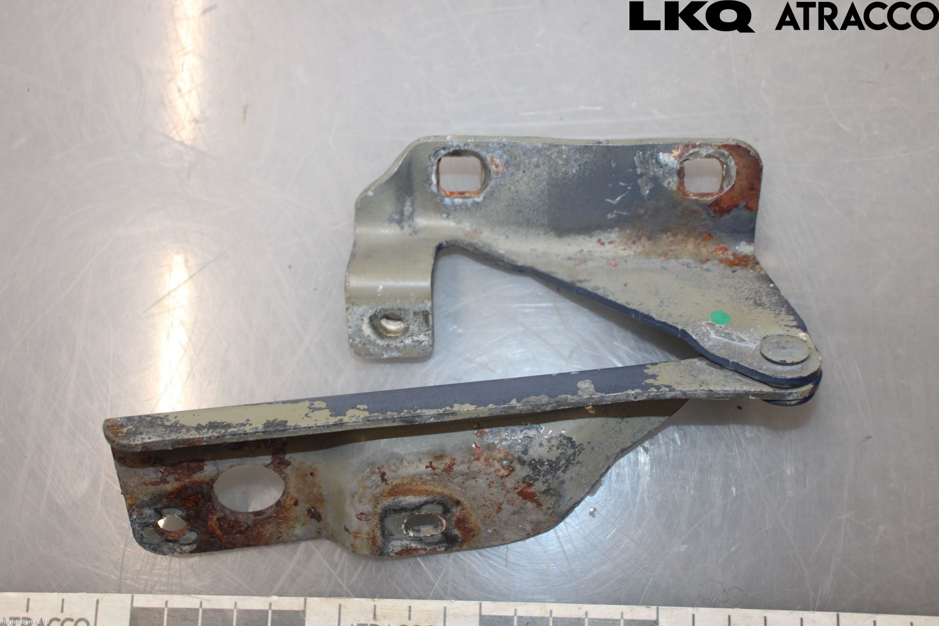 Nissan ALMERA    00-06 Panser Hengsel - Hengsler